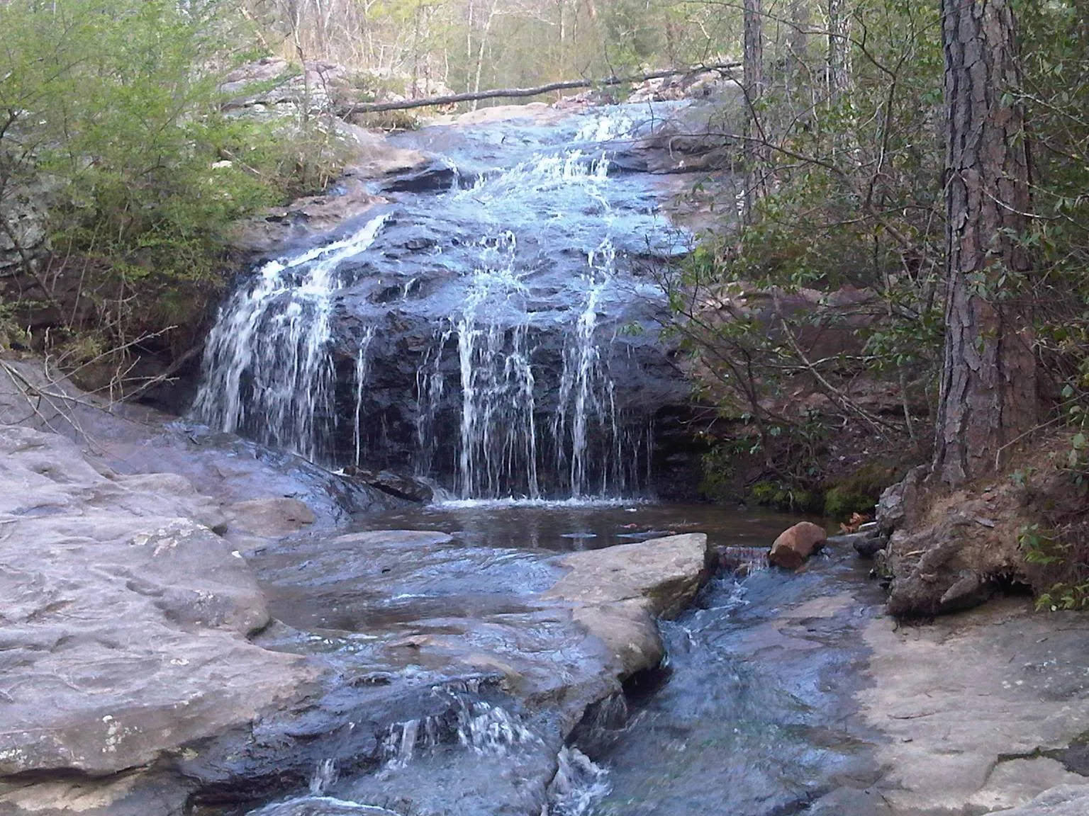 Exploring Moss Rock Preserve