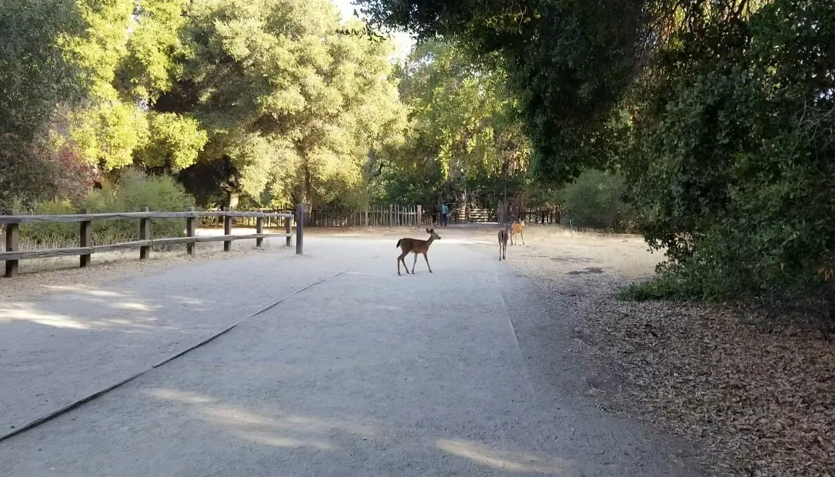 Deer Hollow Farm Trail