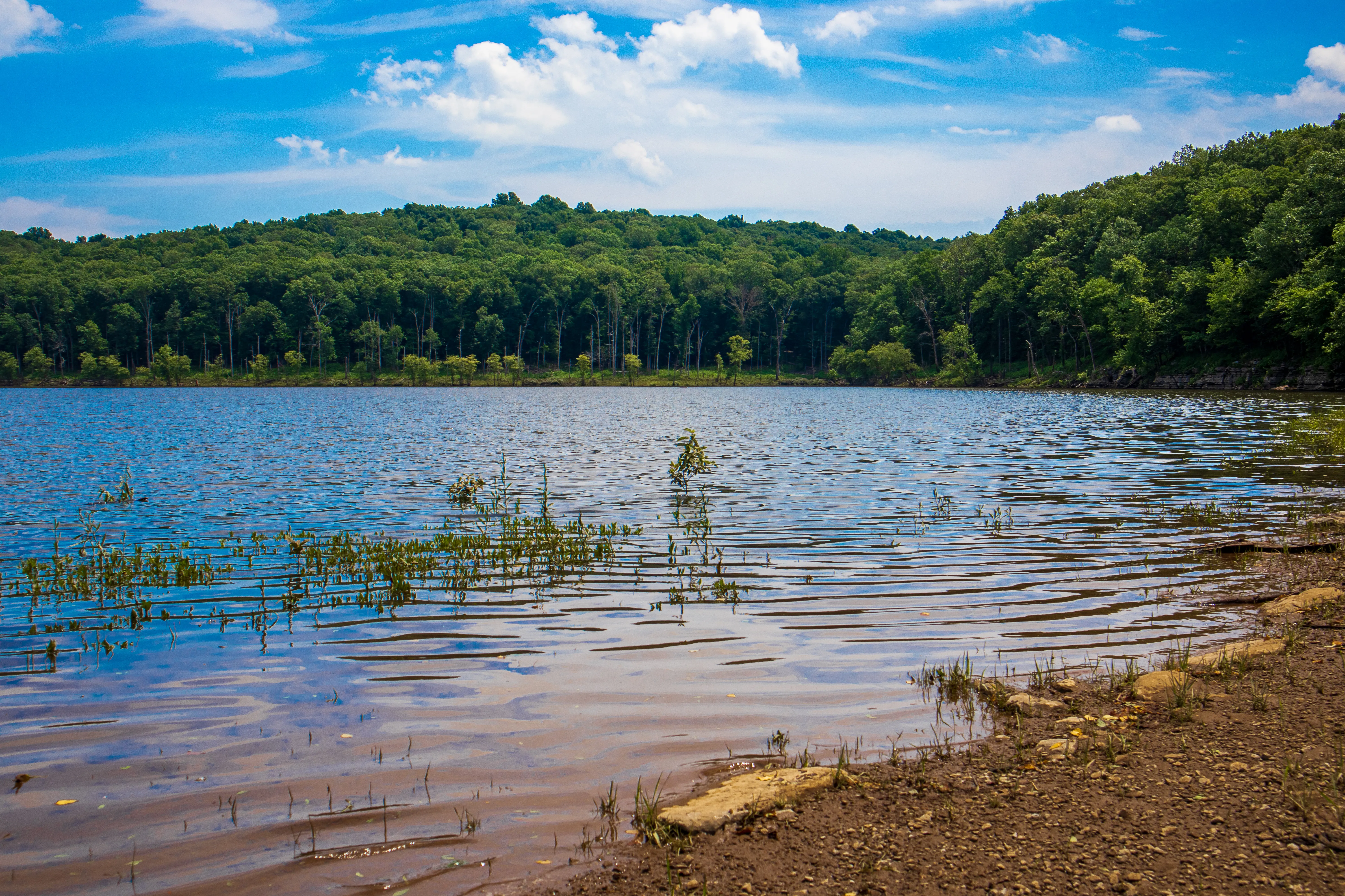 Paddle Millstone Lake
