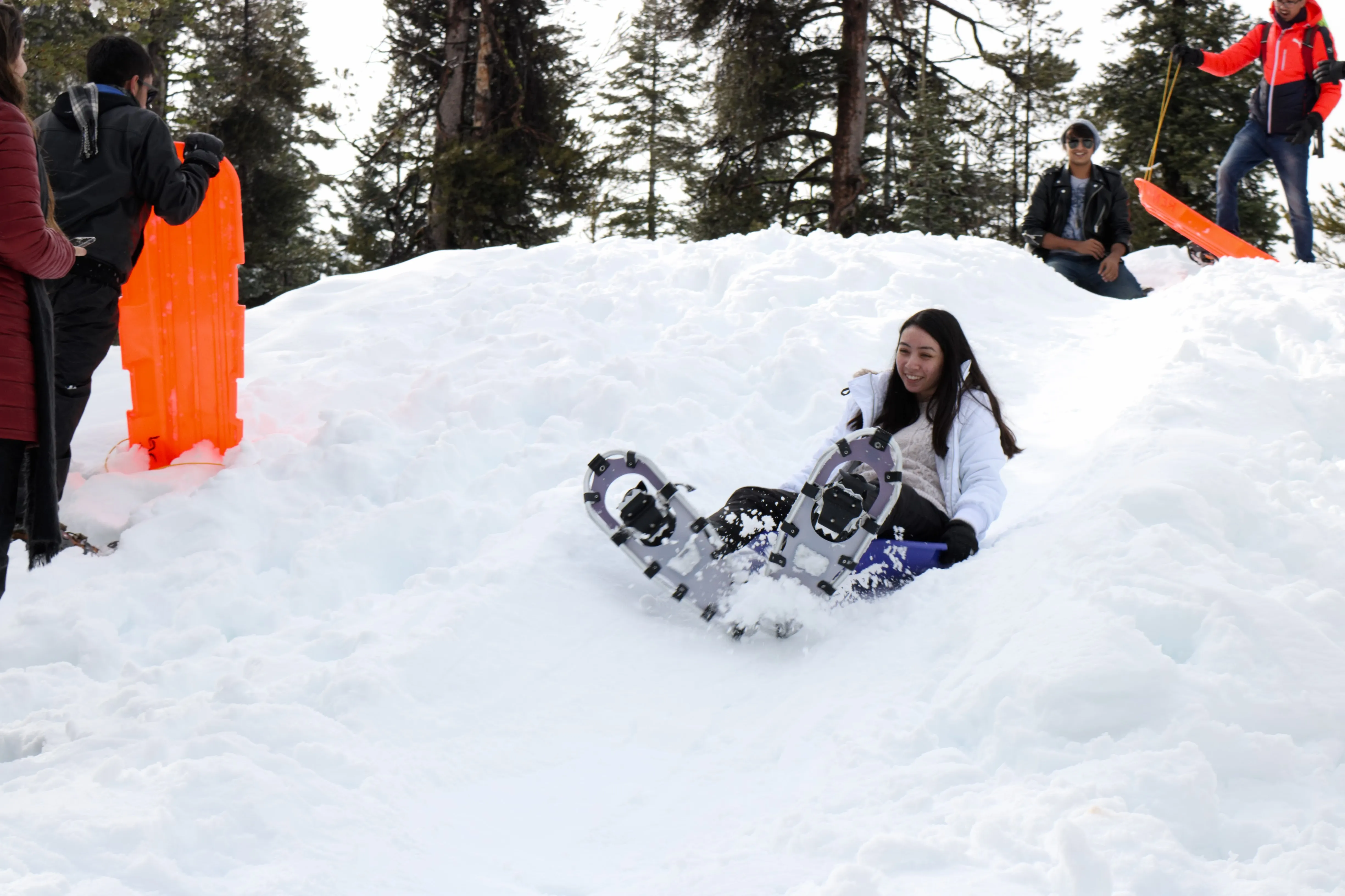 Snowshoe Bear Valley