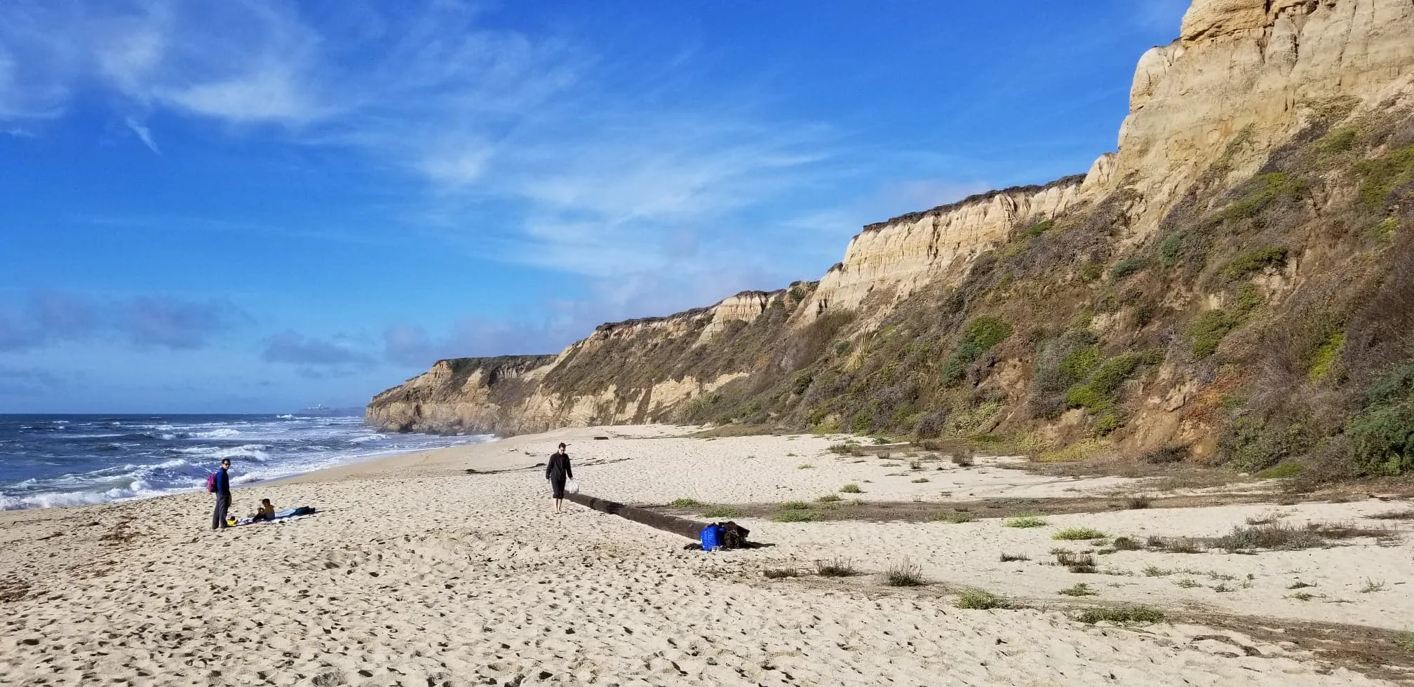 Cowell Ranch Beach