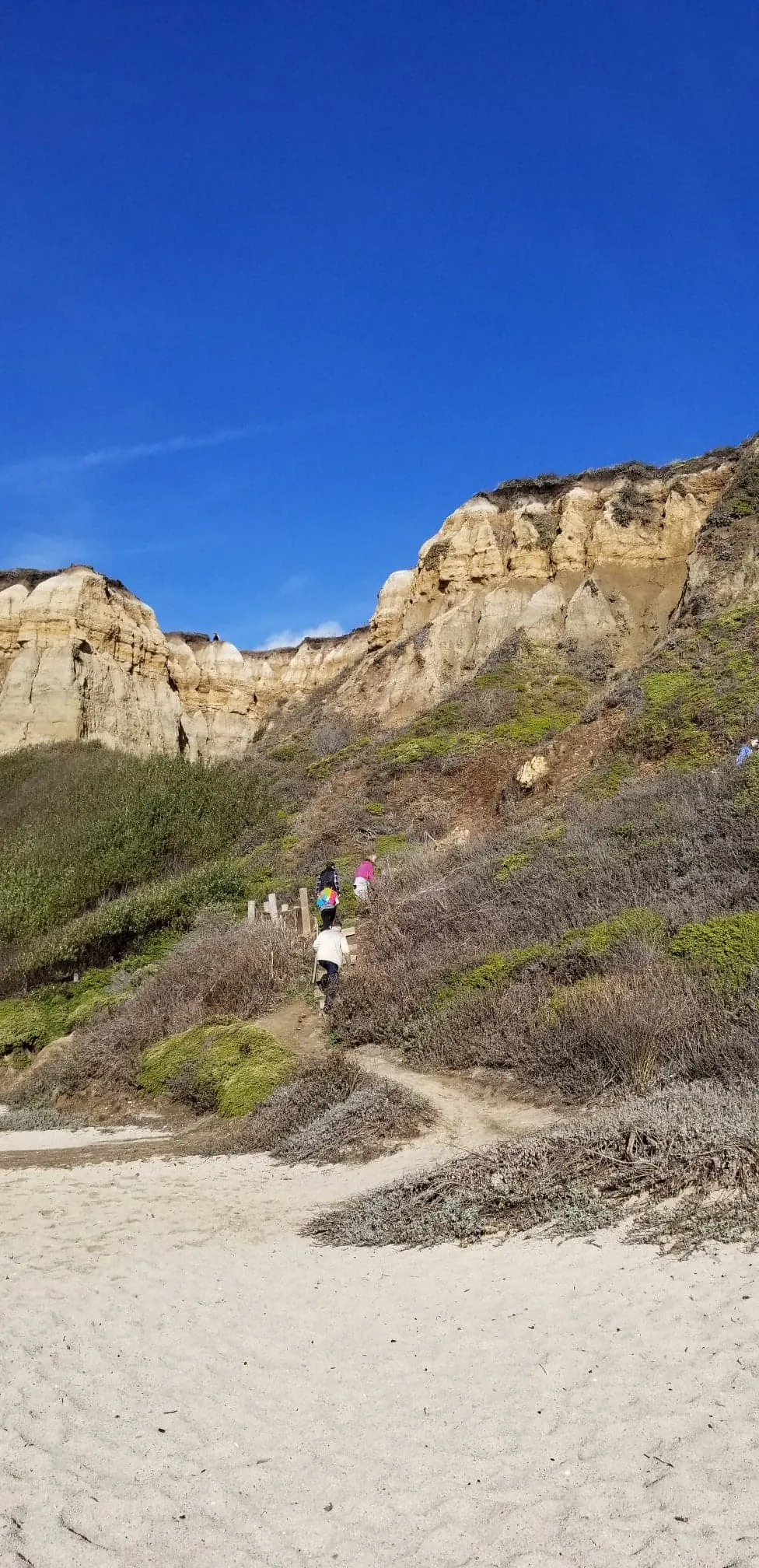 Hike the Cowell-Purisma Trail