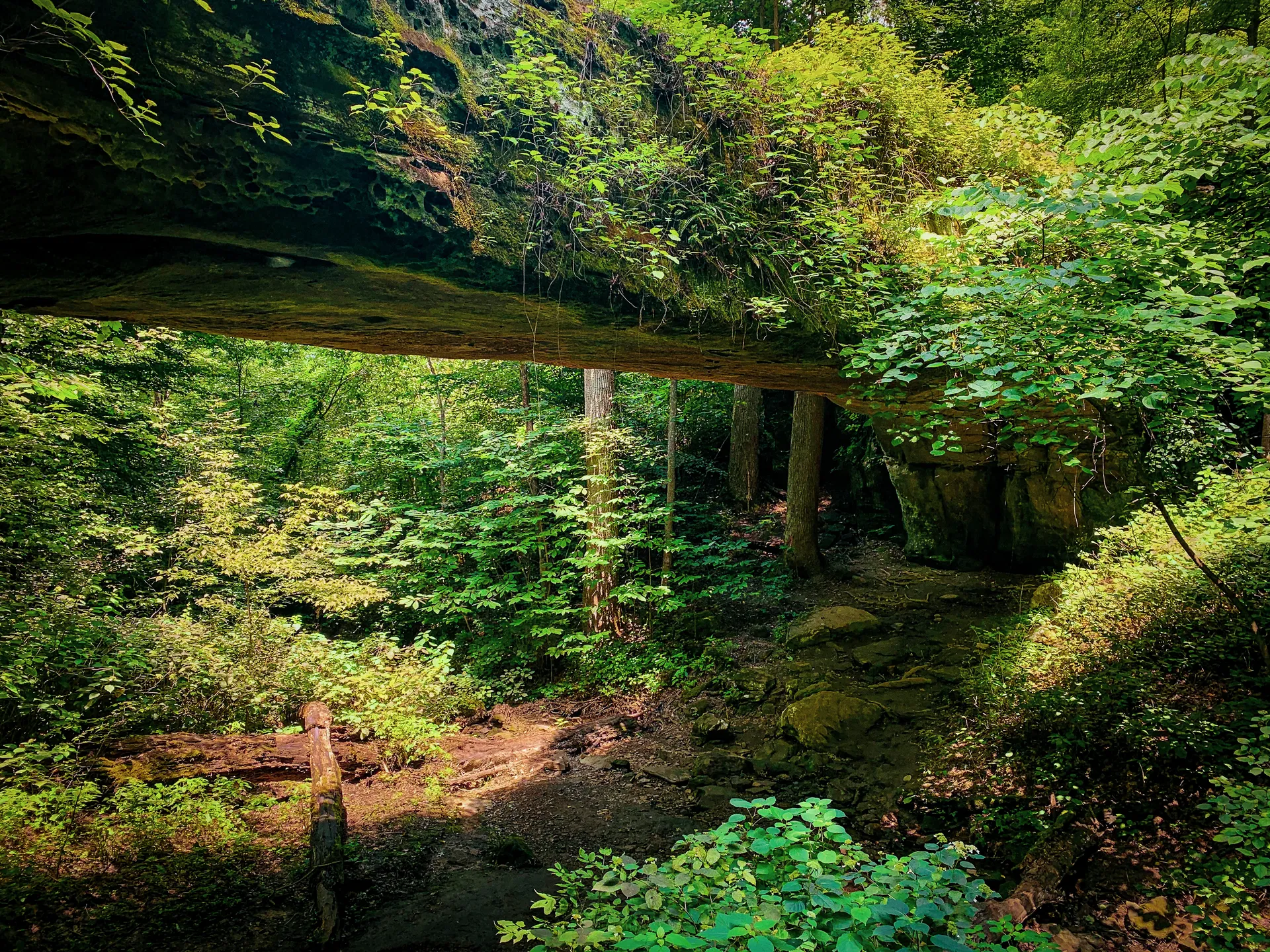 Hike to Pomona Natural Bridge
