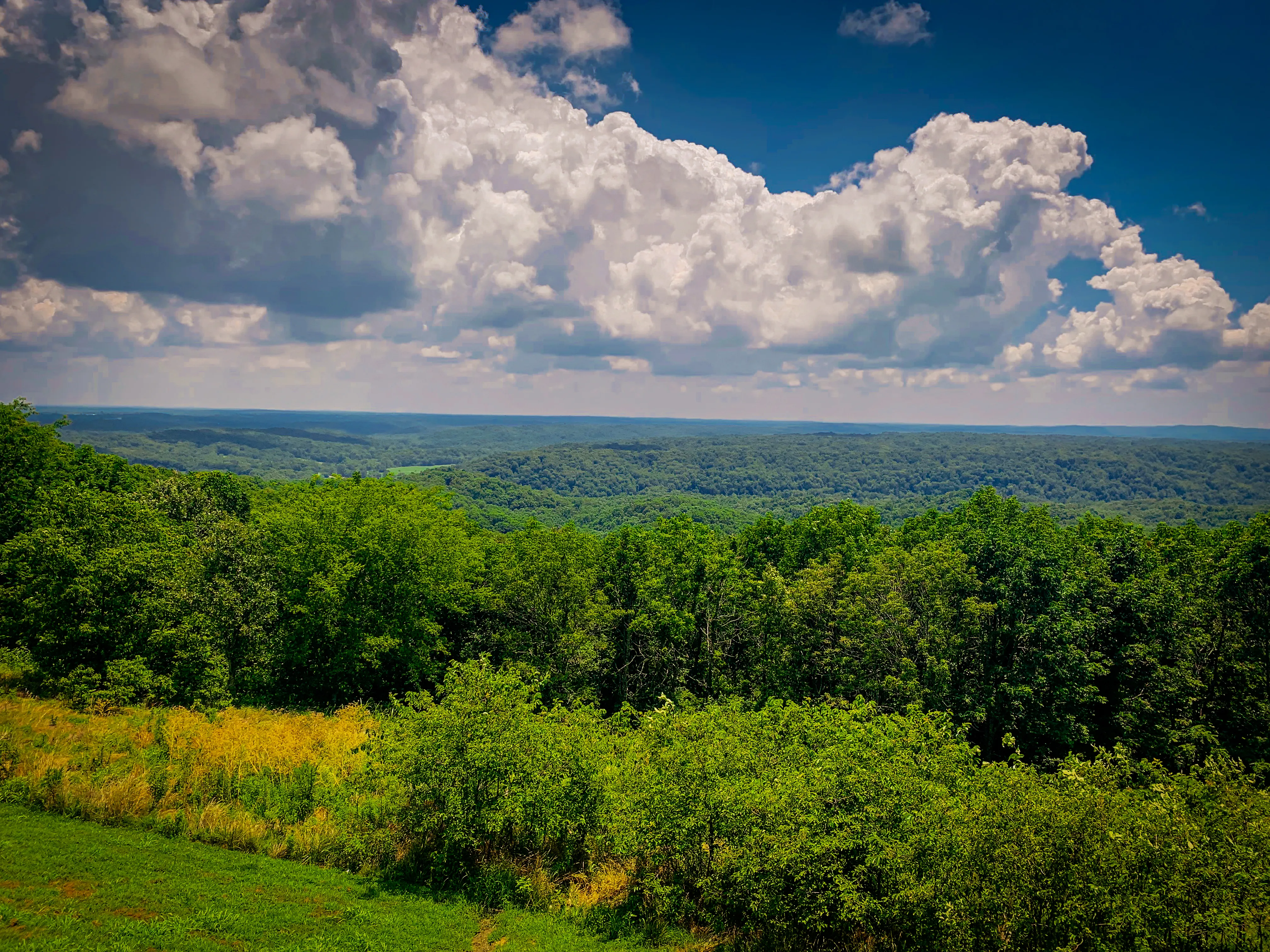 Drive through the Bald Knob Wilderness
