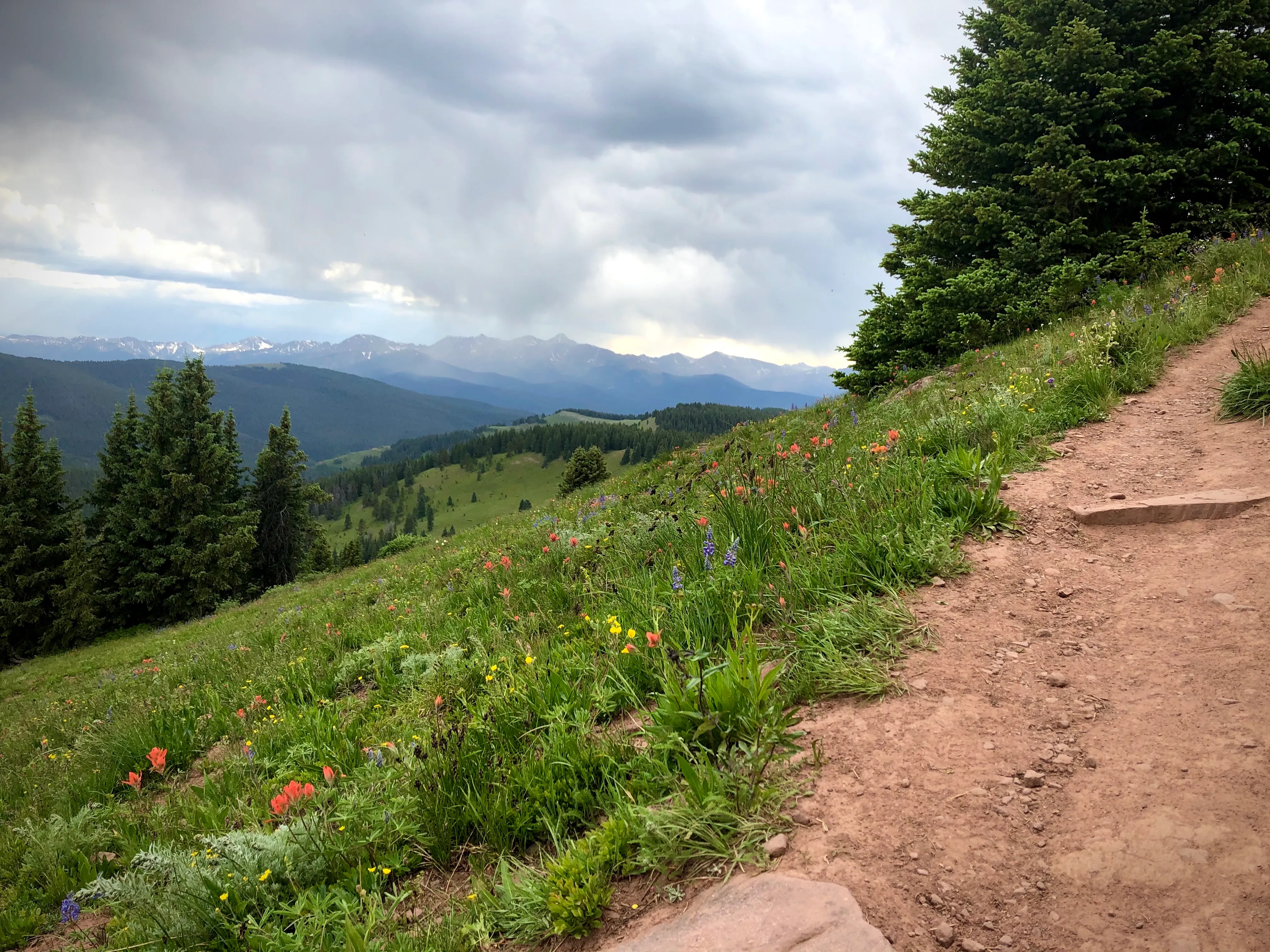Shrine Ridge Trail