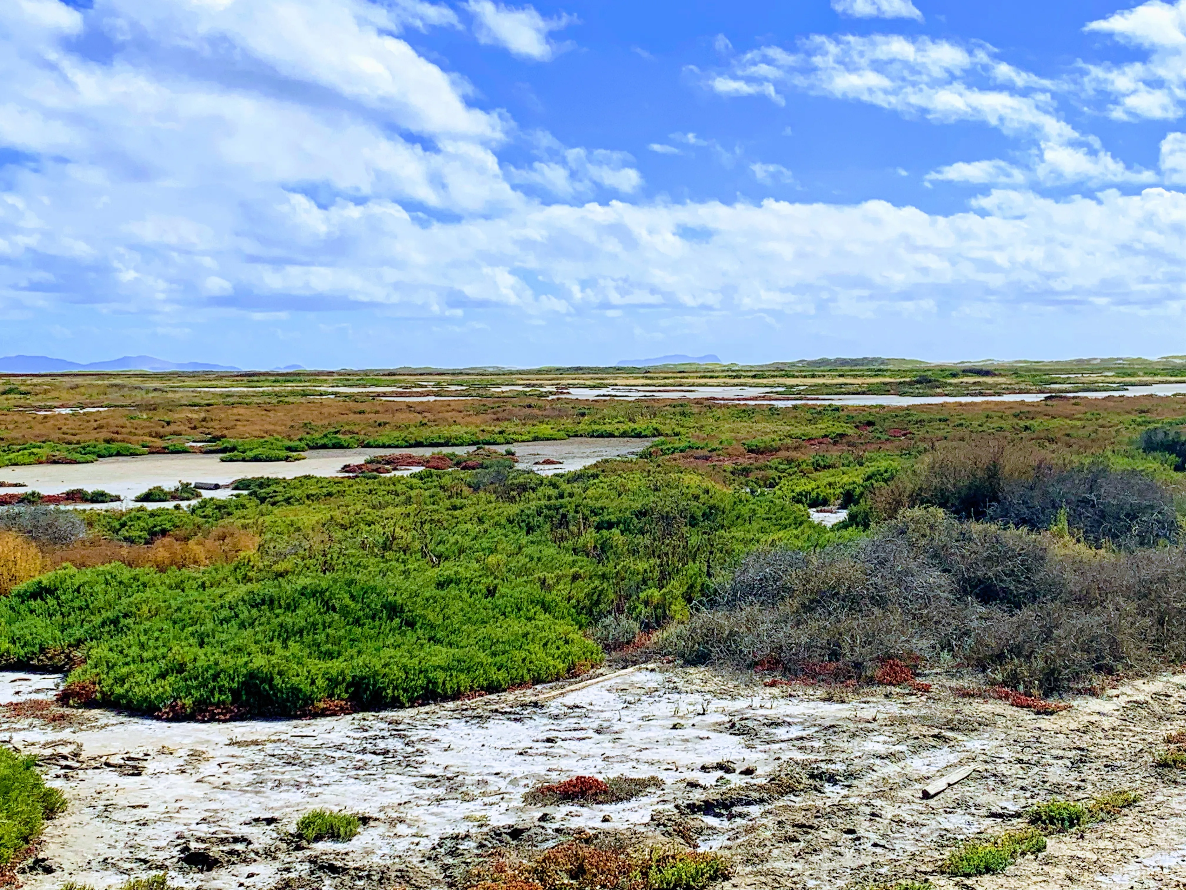 Hike to the beach at Border Field State Park