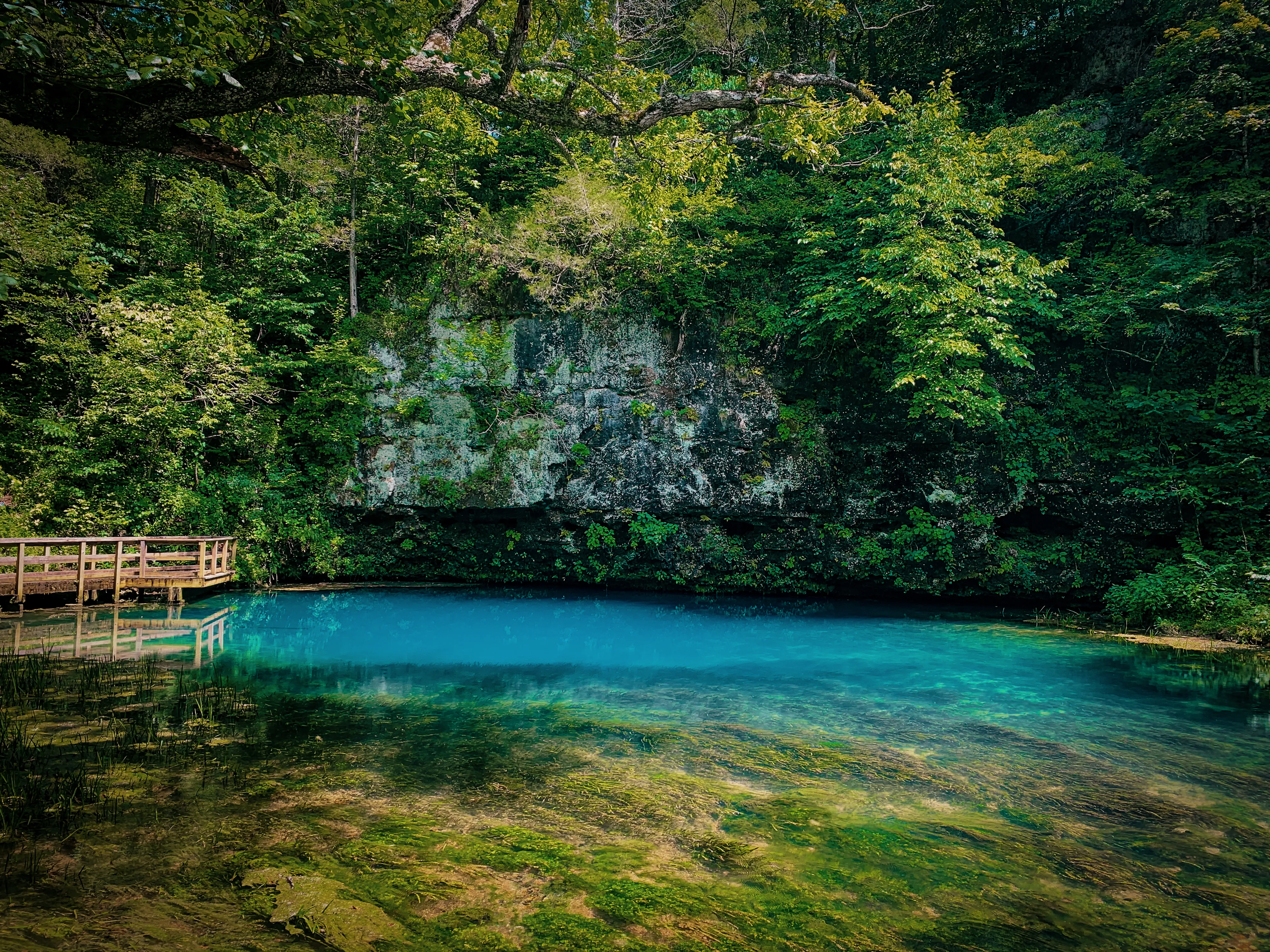 Hike to Blue Spring
