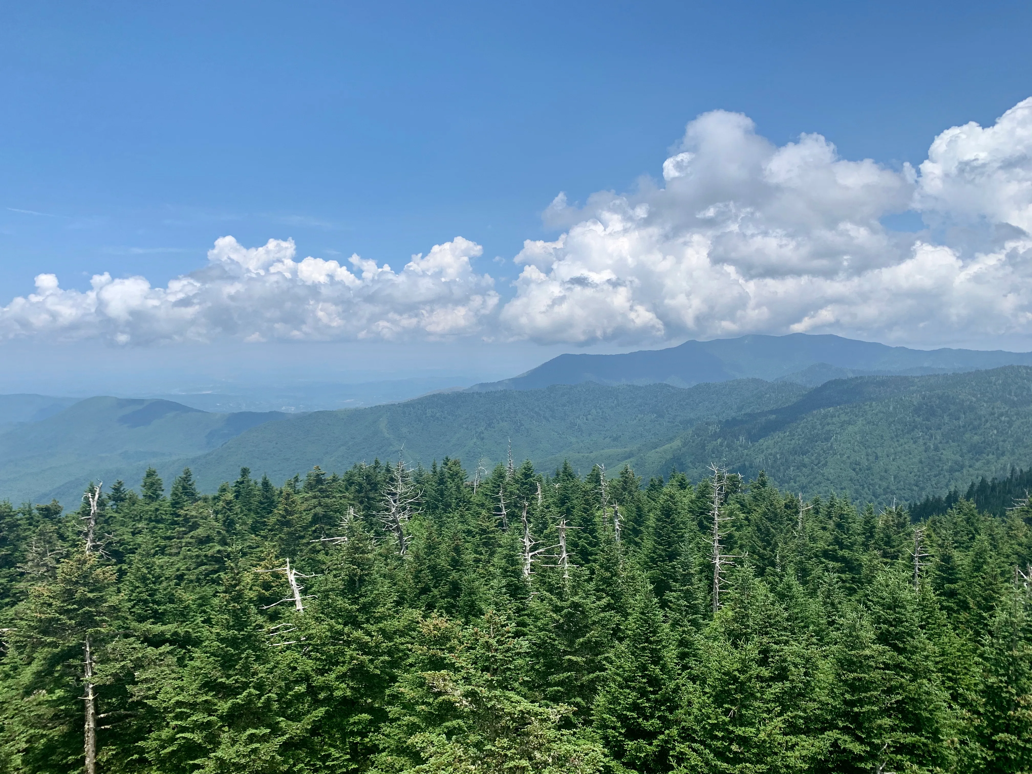 Deep Creek to Clingmans Dome Loop 