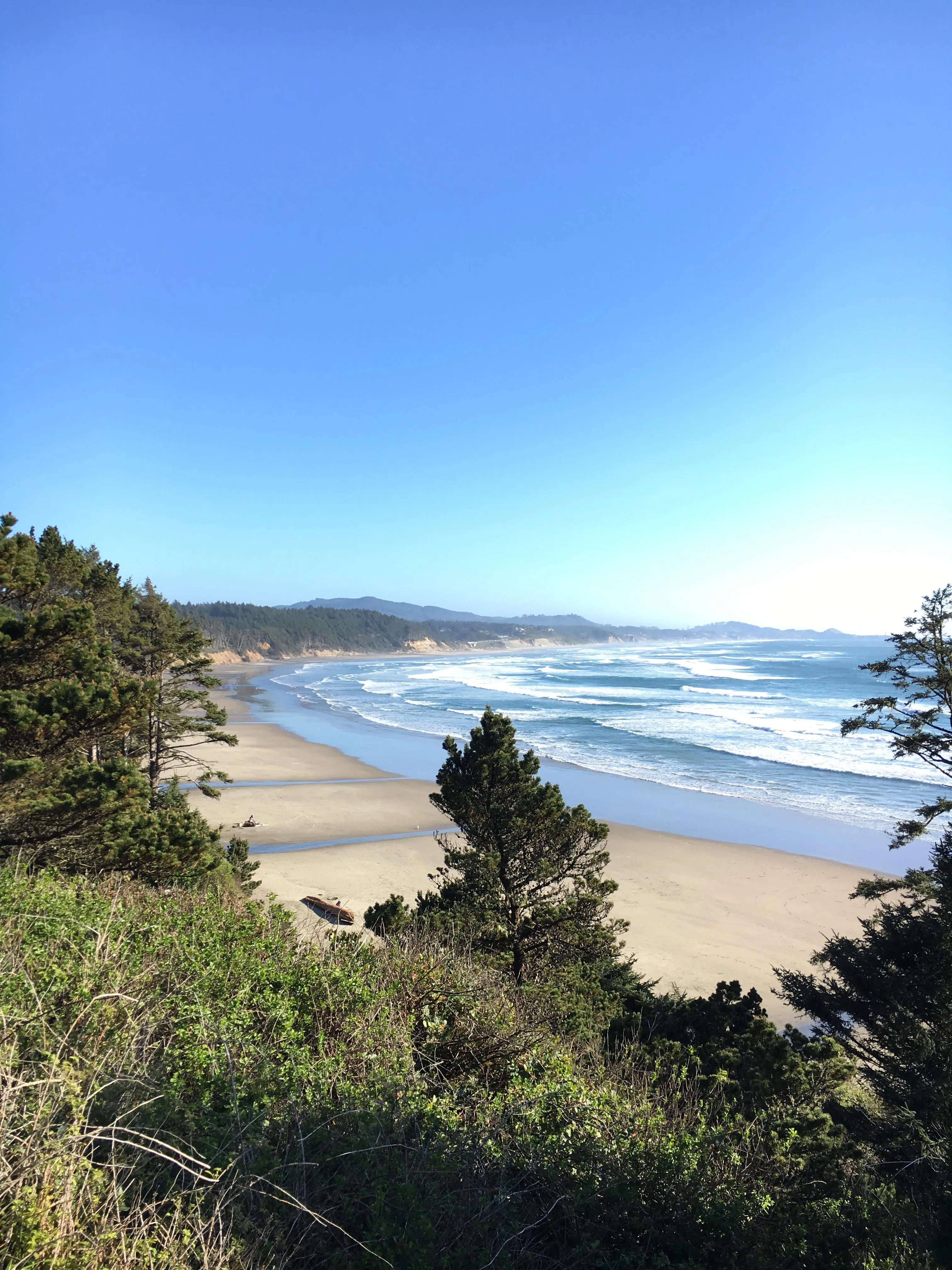 Surf Otter Rock