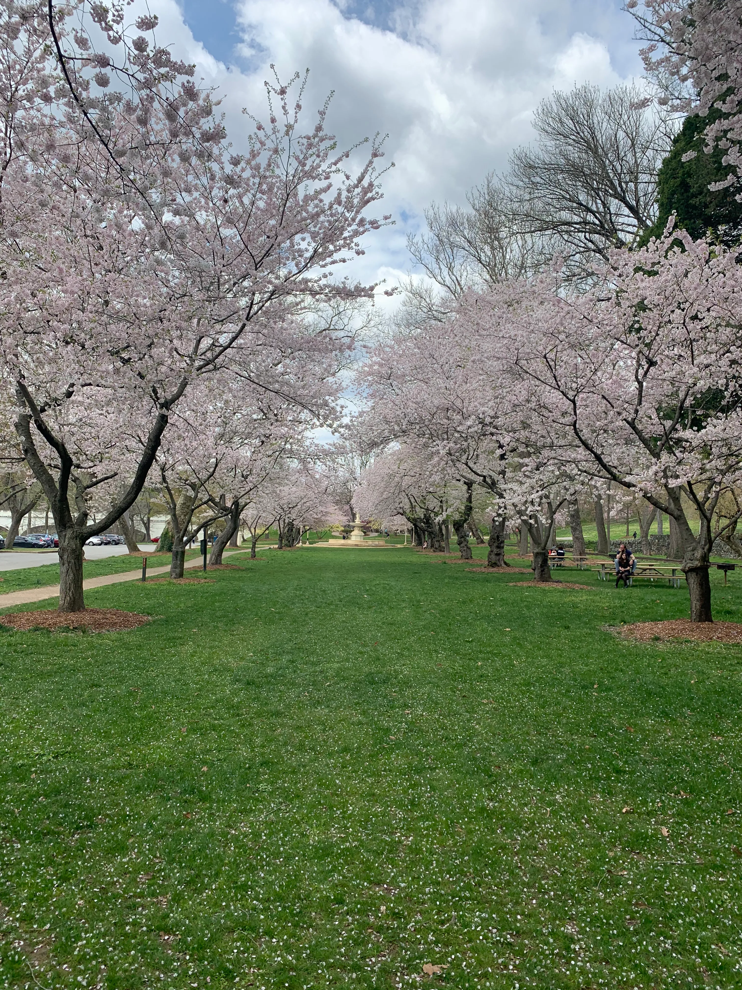 Hike Brandywine Park Loop