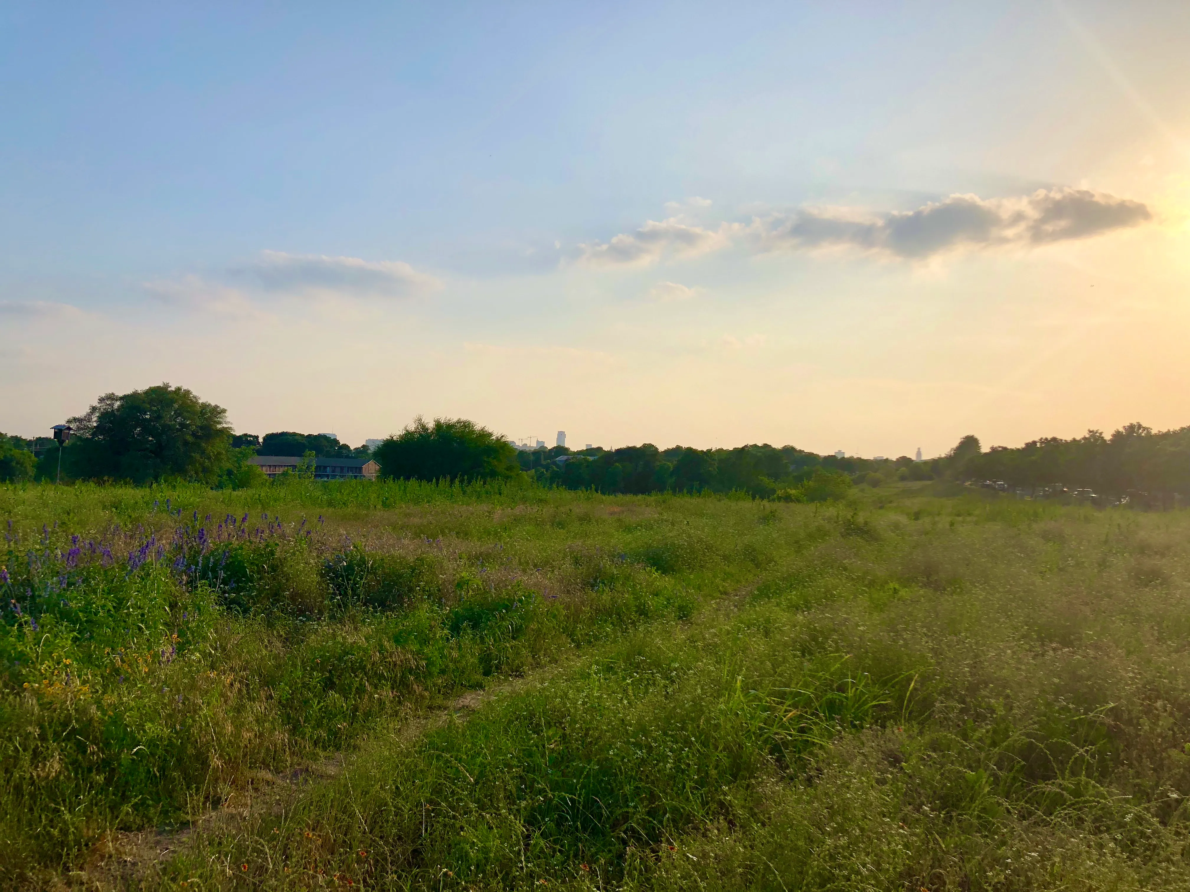 Hike Mueller Park Trail