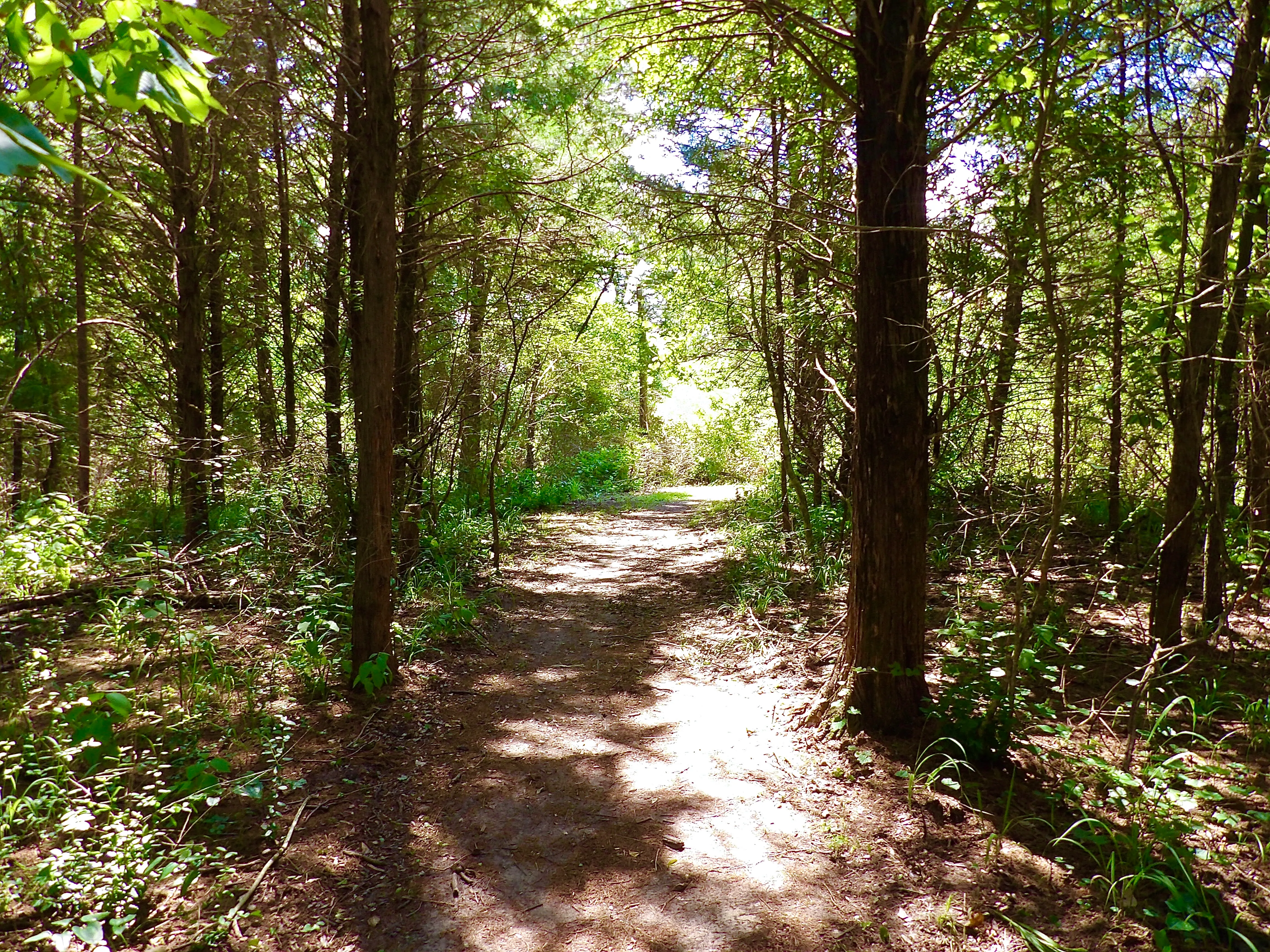 Wolfpen Hike and Bike Blue Trail