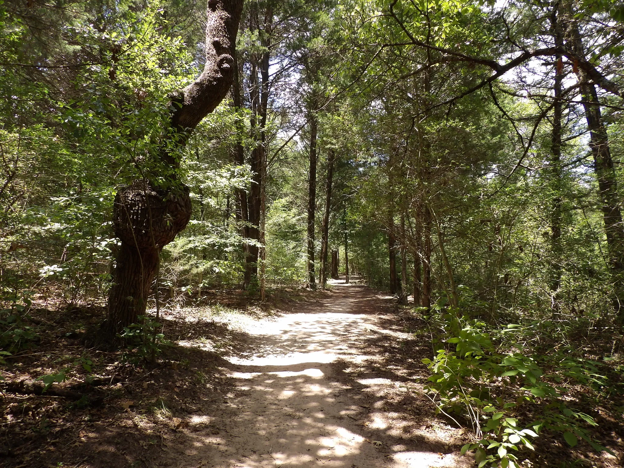 Wolfpen Hike and Bike Green and Blue Trail Loop