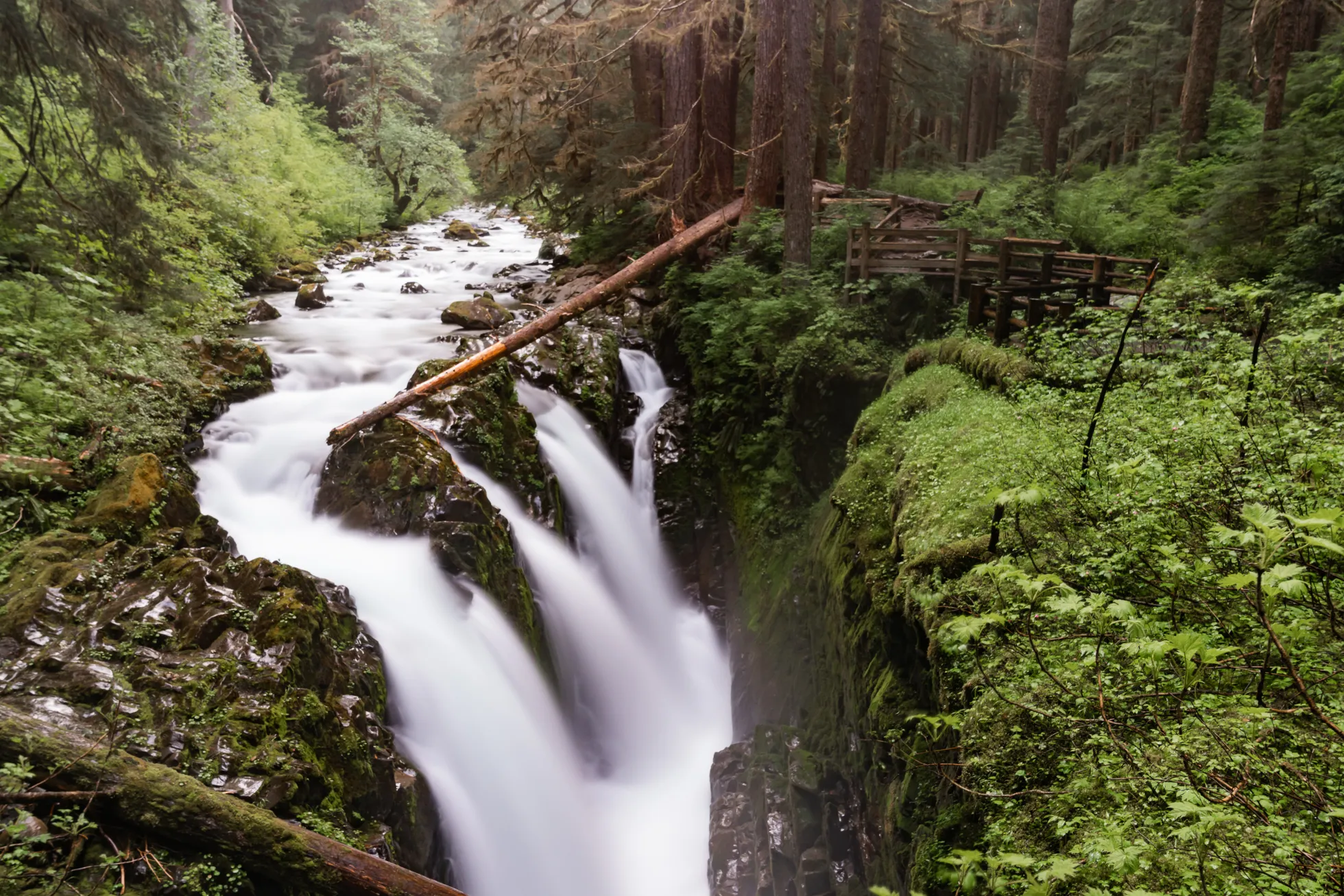 Sol Duc Falls and Deer Lake