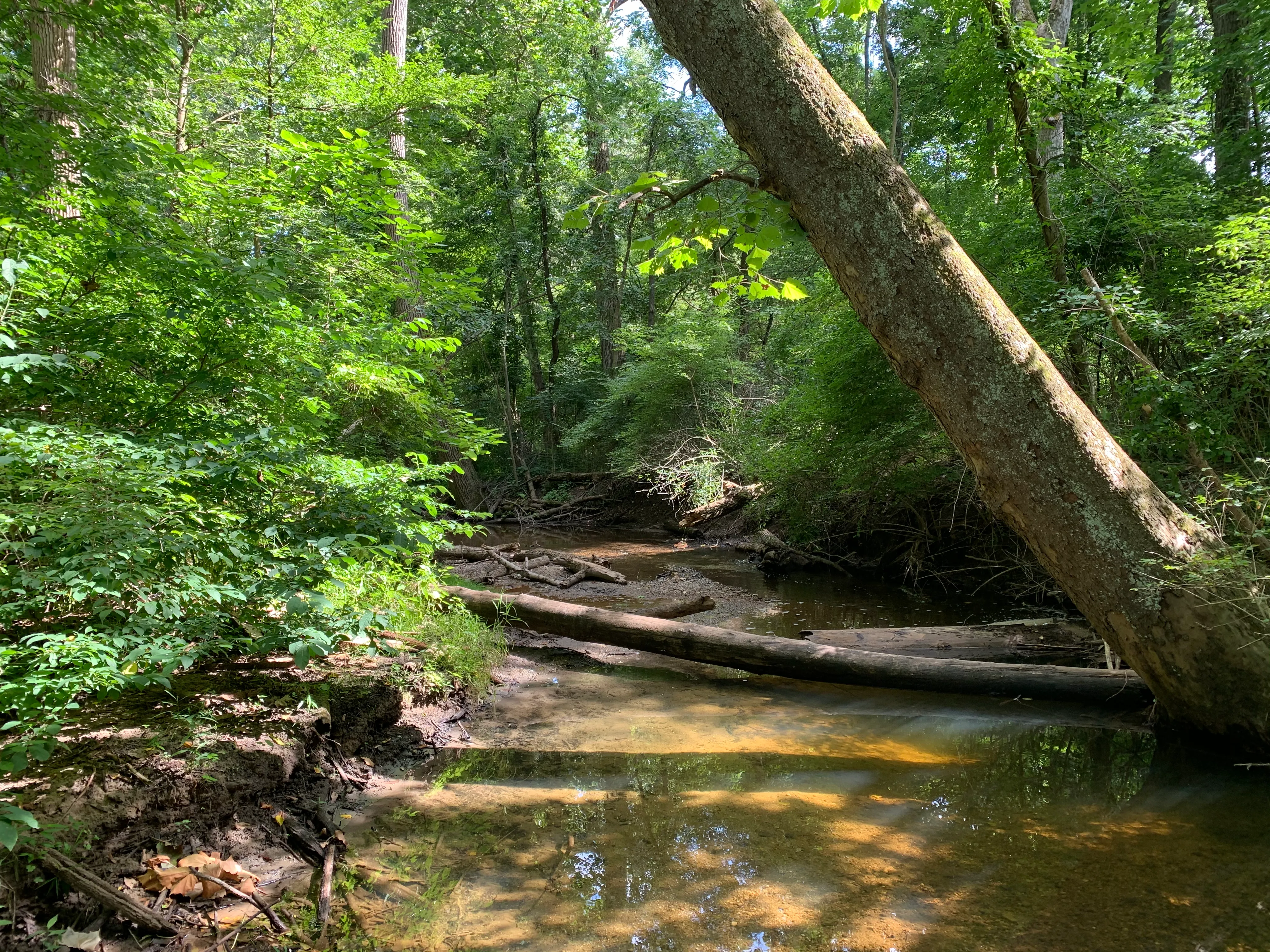 Hike Winona Lake Trail