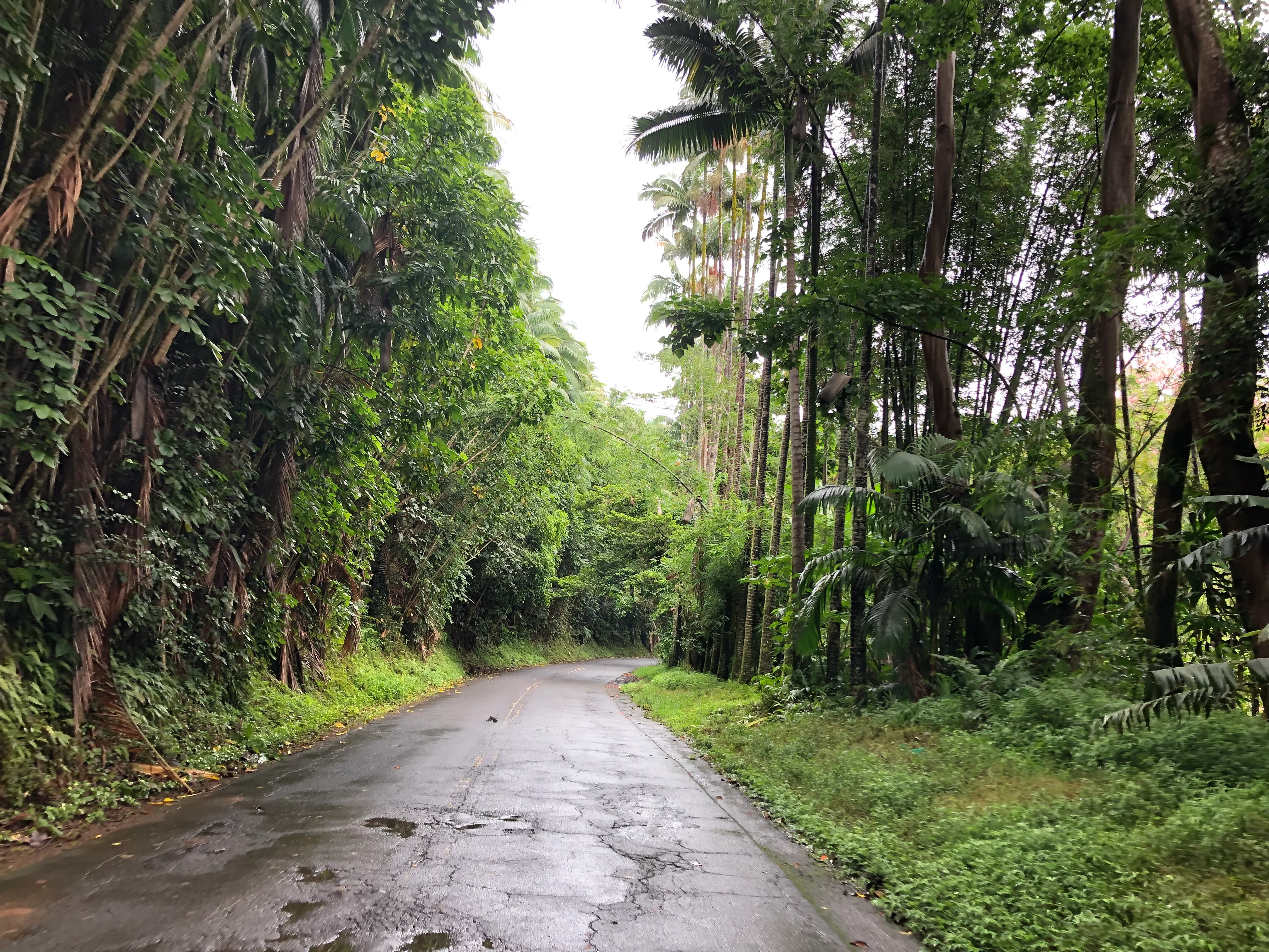 Explore the Old Mamalahoa Hwy