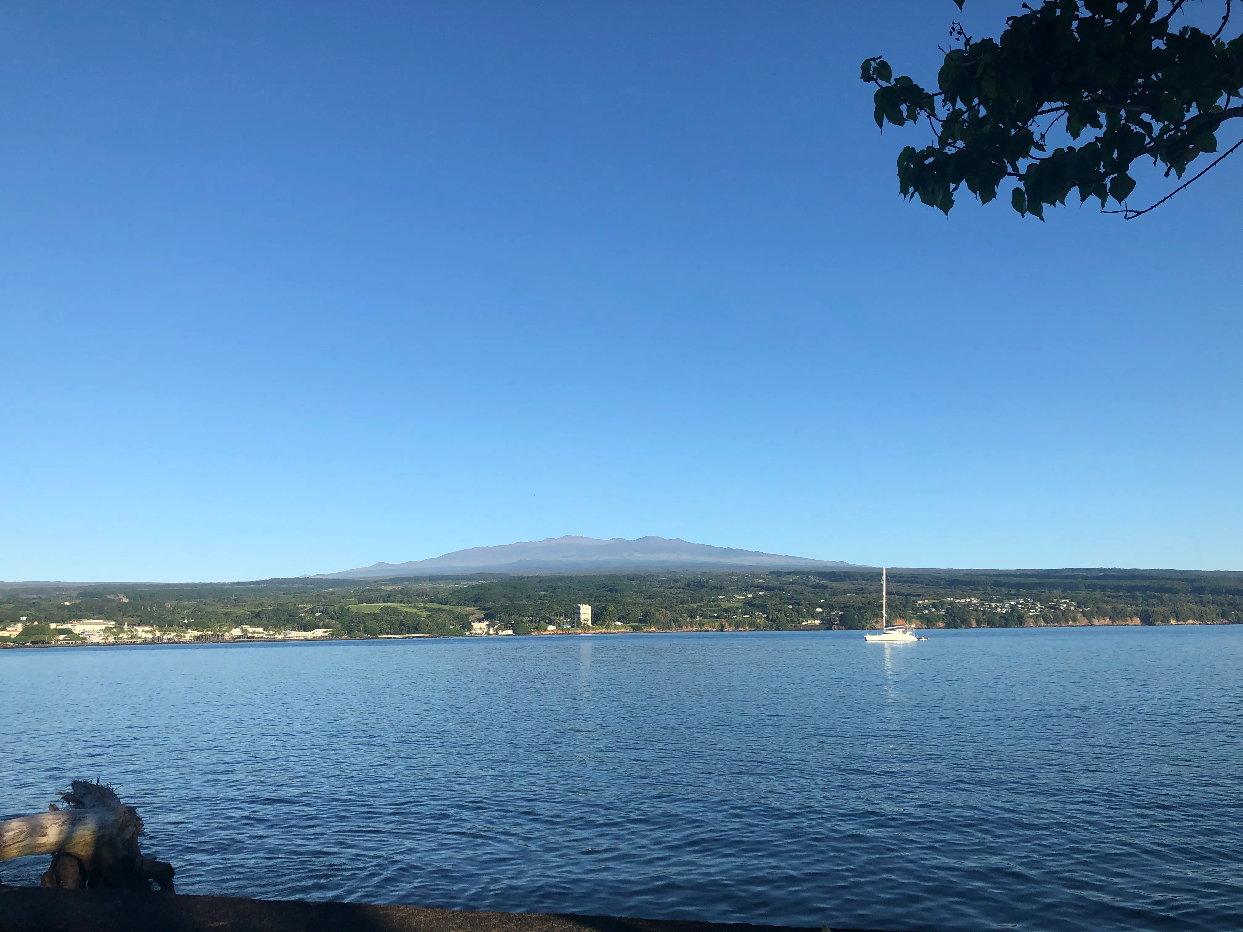 Run at Liliʻuokalani Park and Gardens