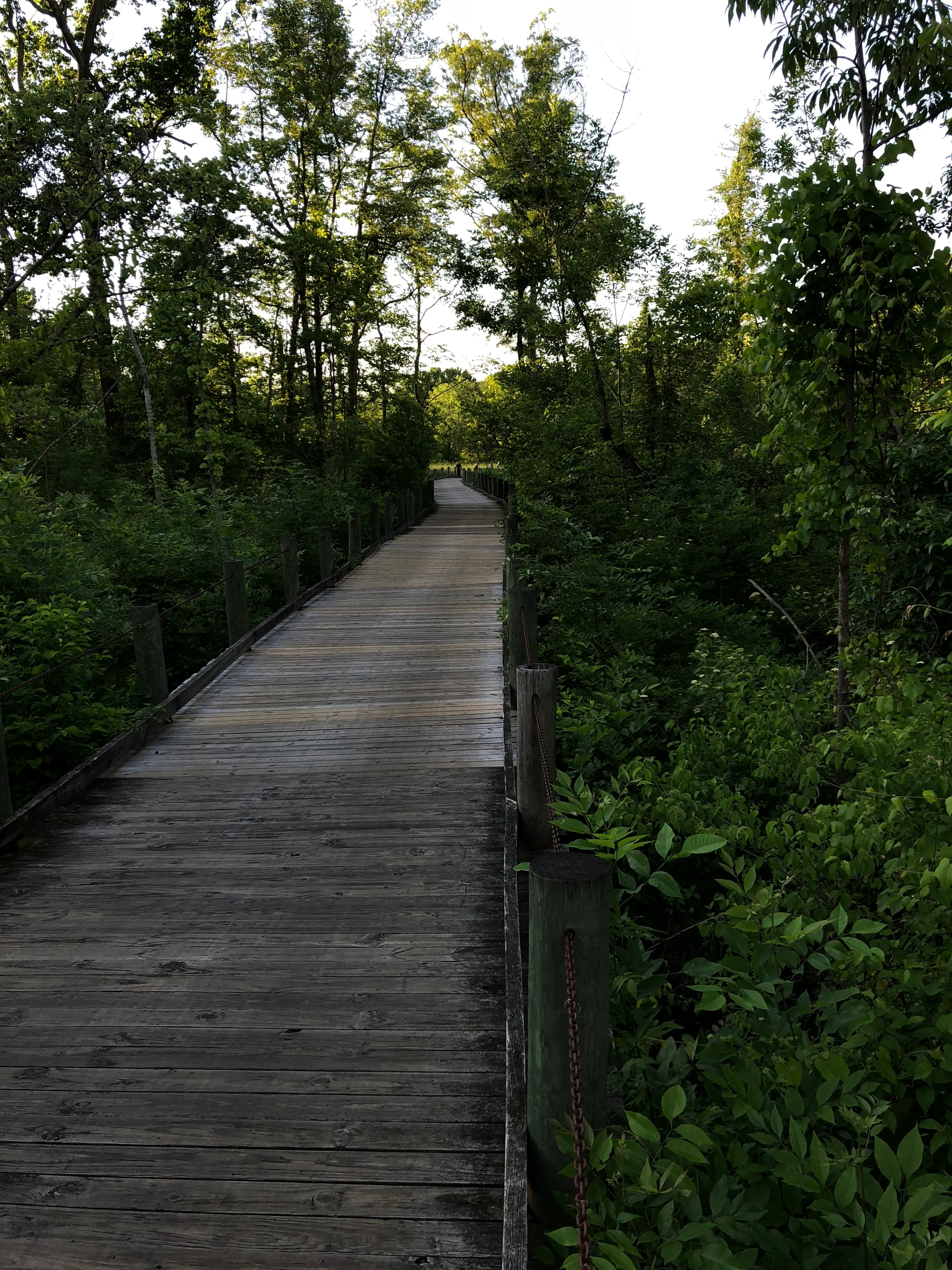 Run or Bike the Dyke Marsh Wildlife Preserve