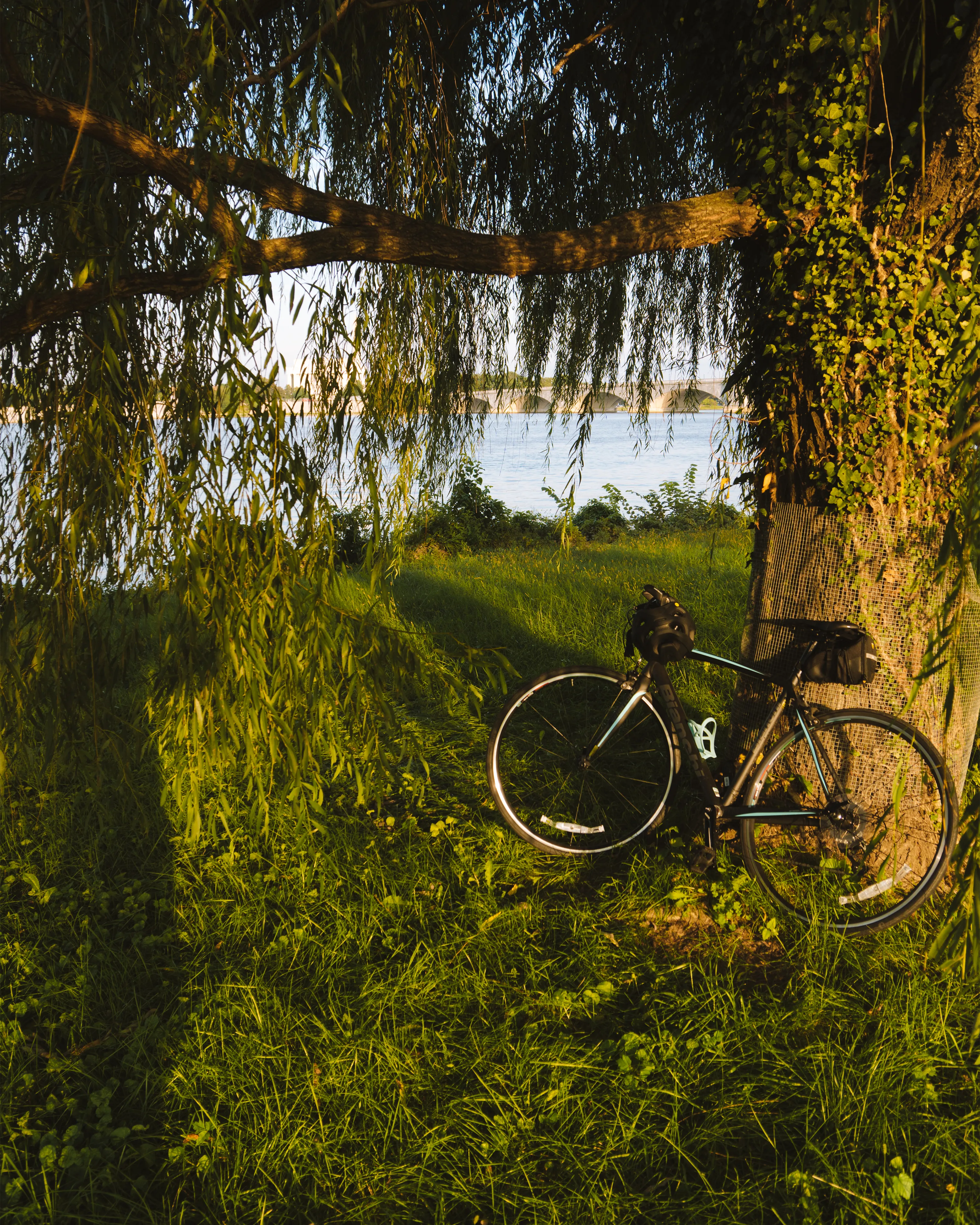 Mt. Vernon Trail