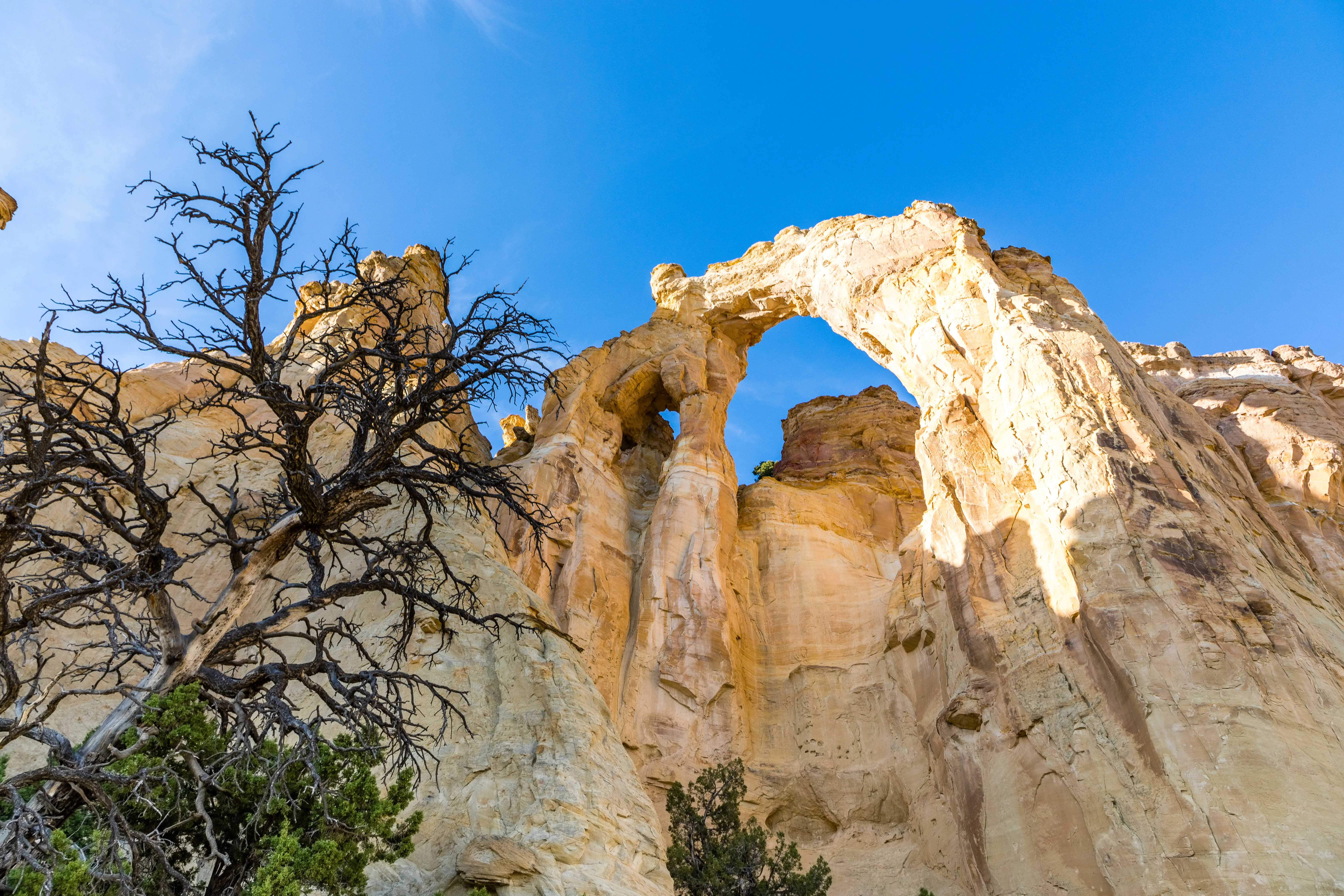 Grosvenor Arch 
