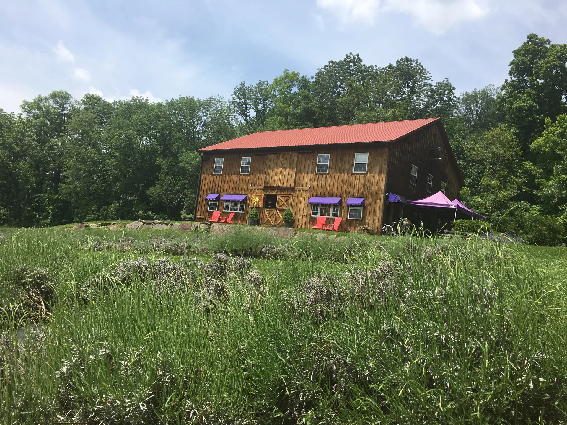 Photograph the Peace Valley Lavender Fields