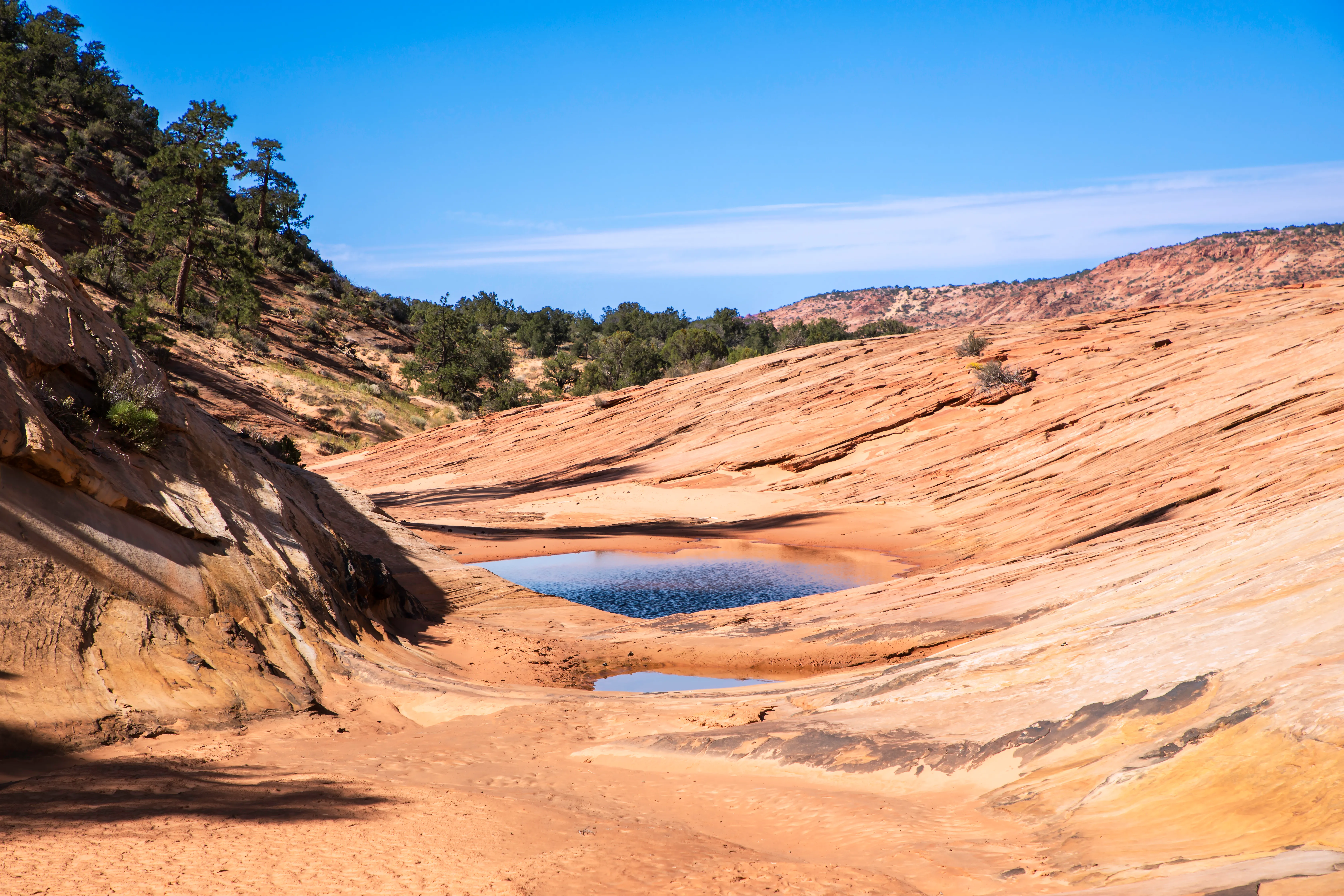 See Dinosaur Tracks at the Moccasin Mountain Dinosaur Tracksite