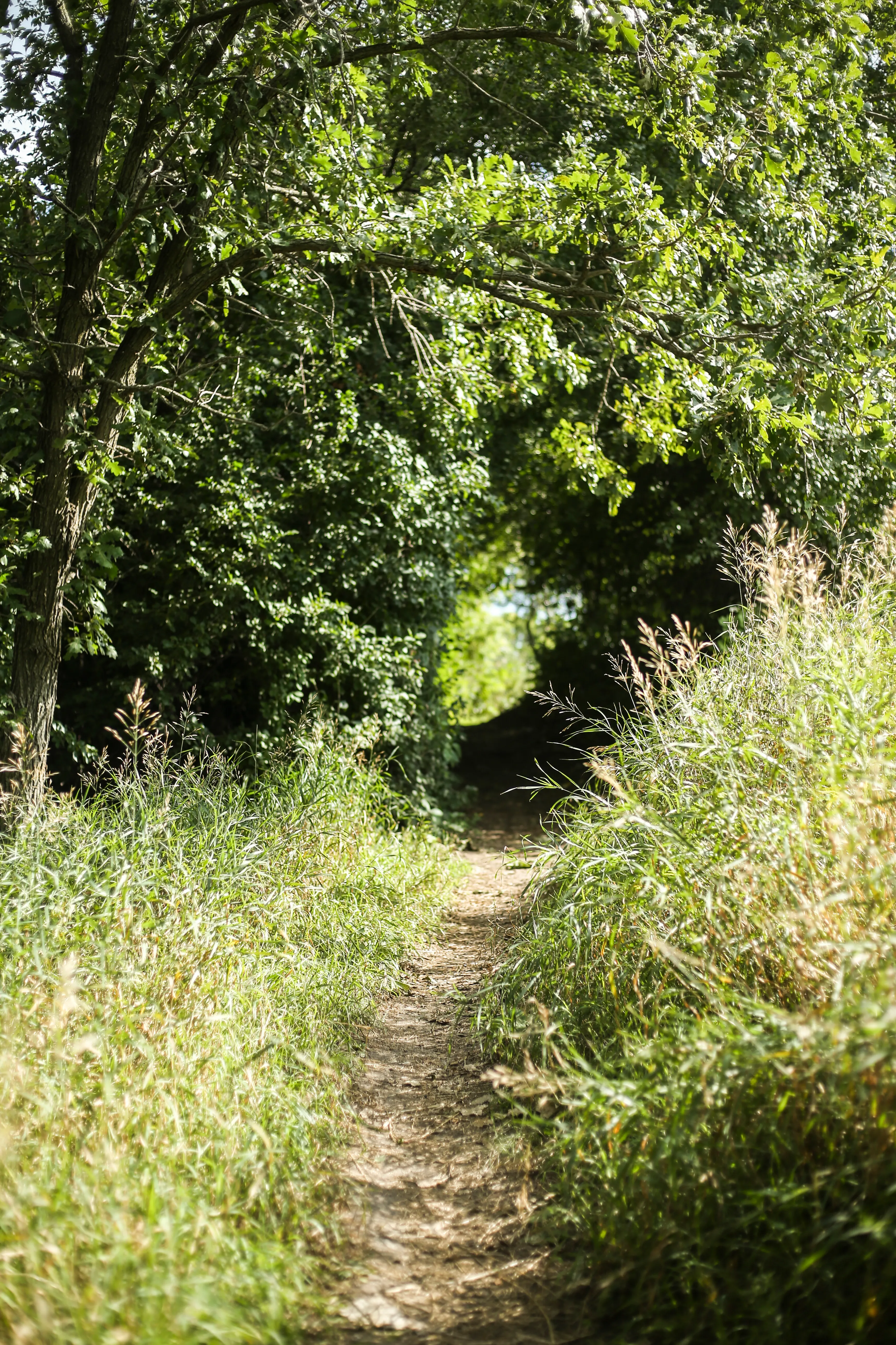 Mountain Bike Leaders Park Trail 