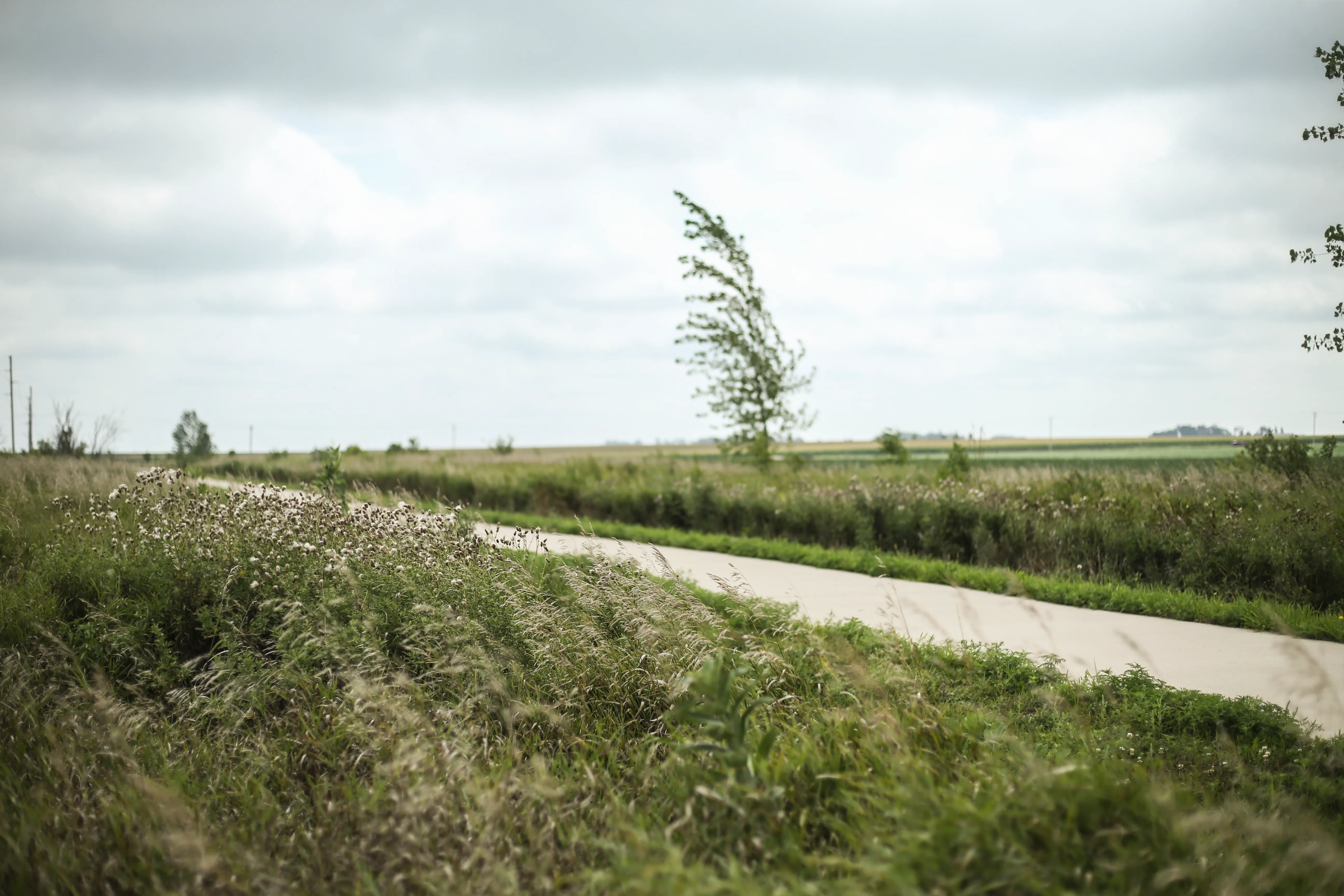 Ed Winkel Memorial Trail 