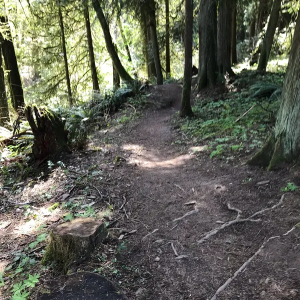 Trail Tips & Tricks for the Beginner Hiker