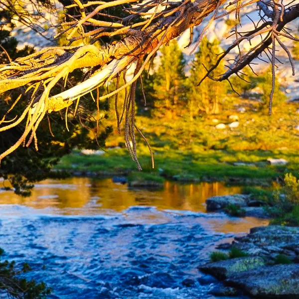 Backpacking the Eastern Sierra's Evolution Loop
