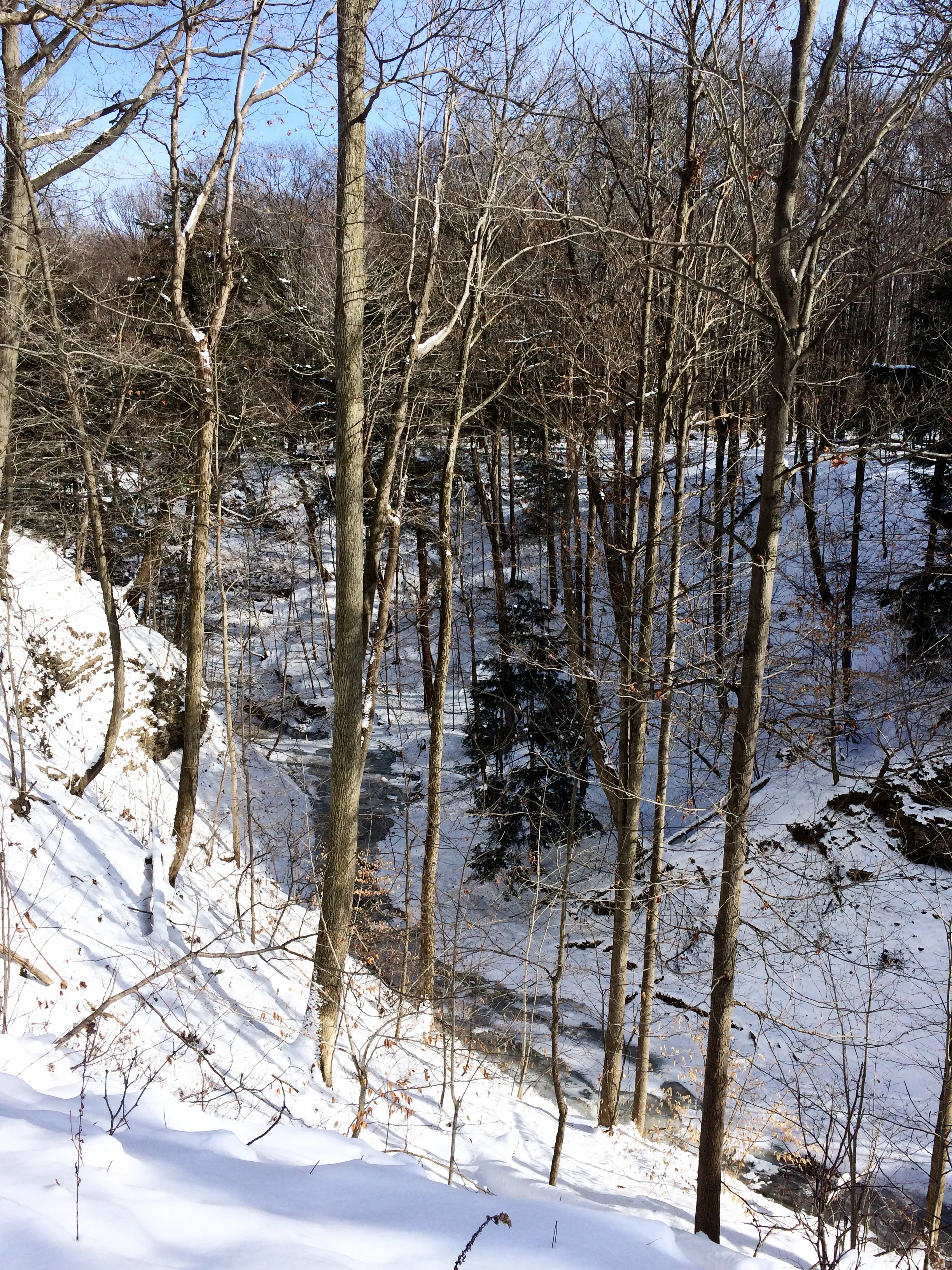 Snowshoe North Chagrin Reservation
