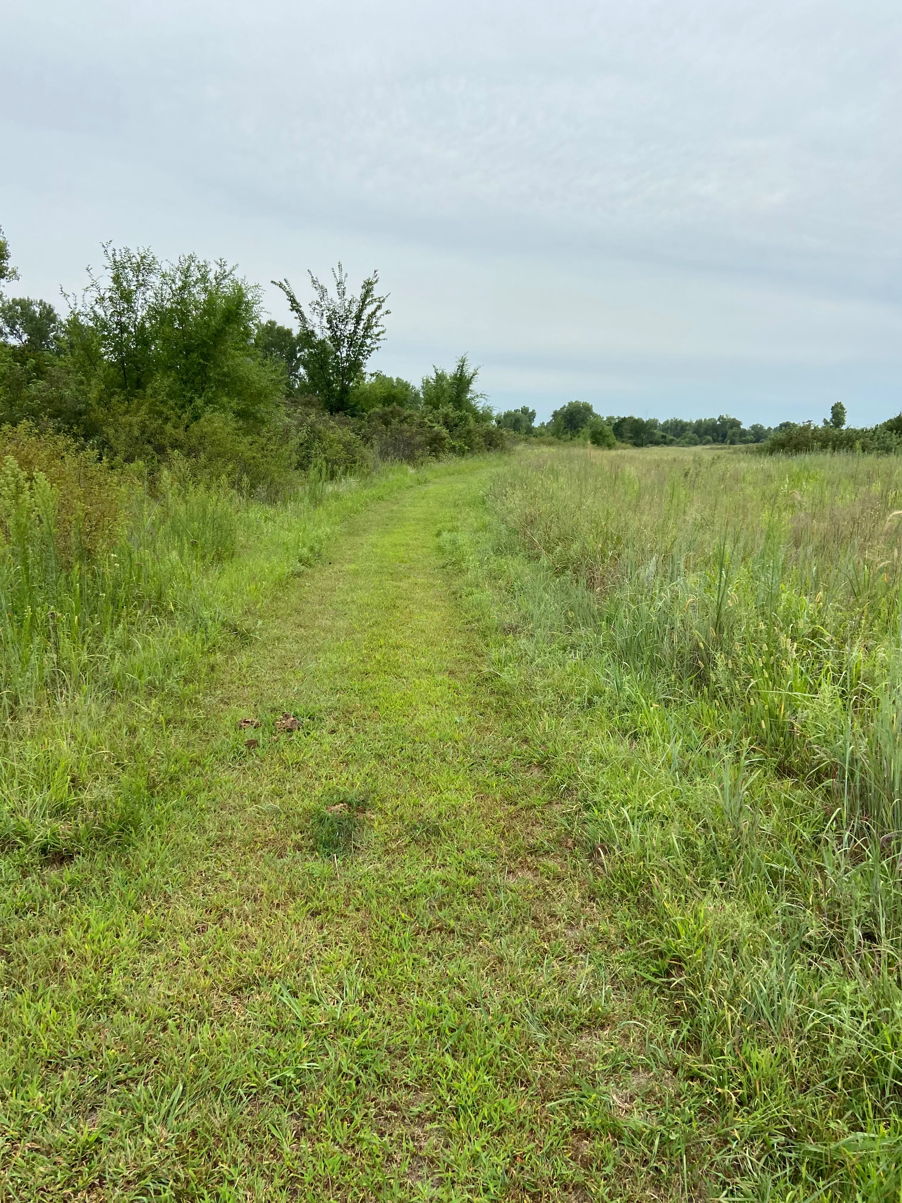 Hike Sand Hills Pond Trail