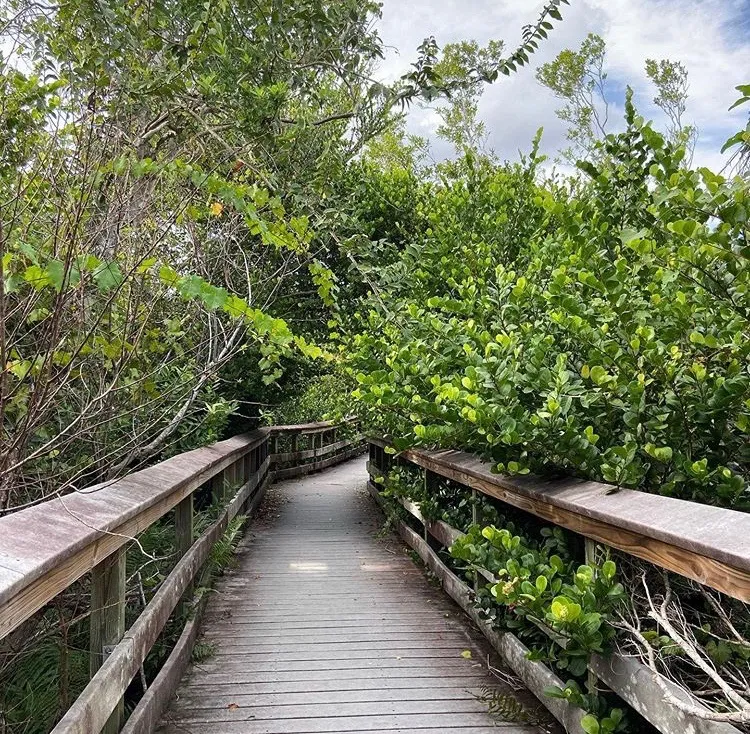 Take a Stroll on the Pa-Hay-Okee Overlook Trail