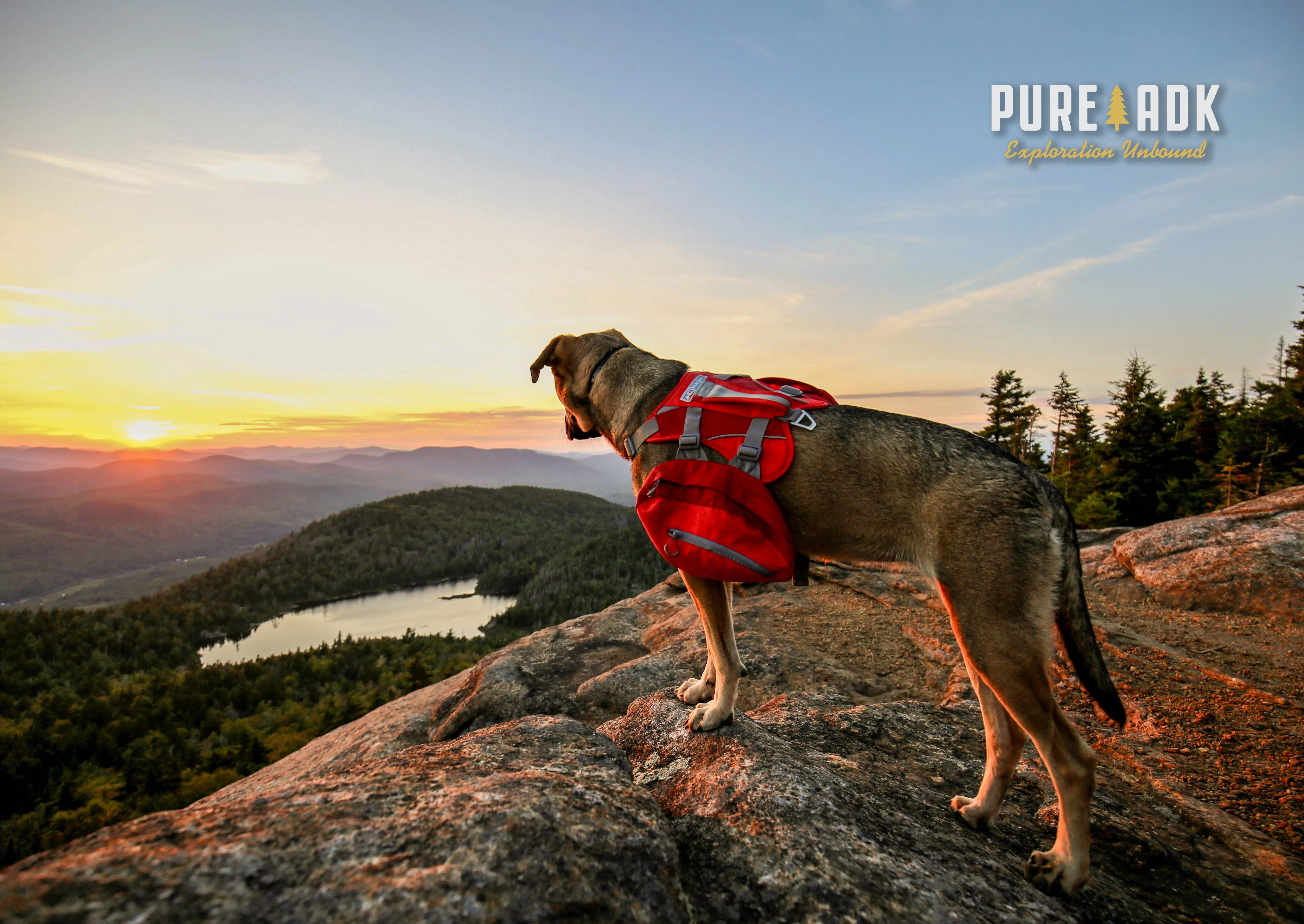 Crane Mountain Loop