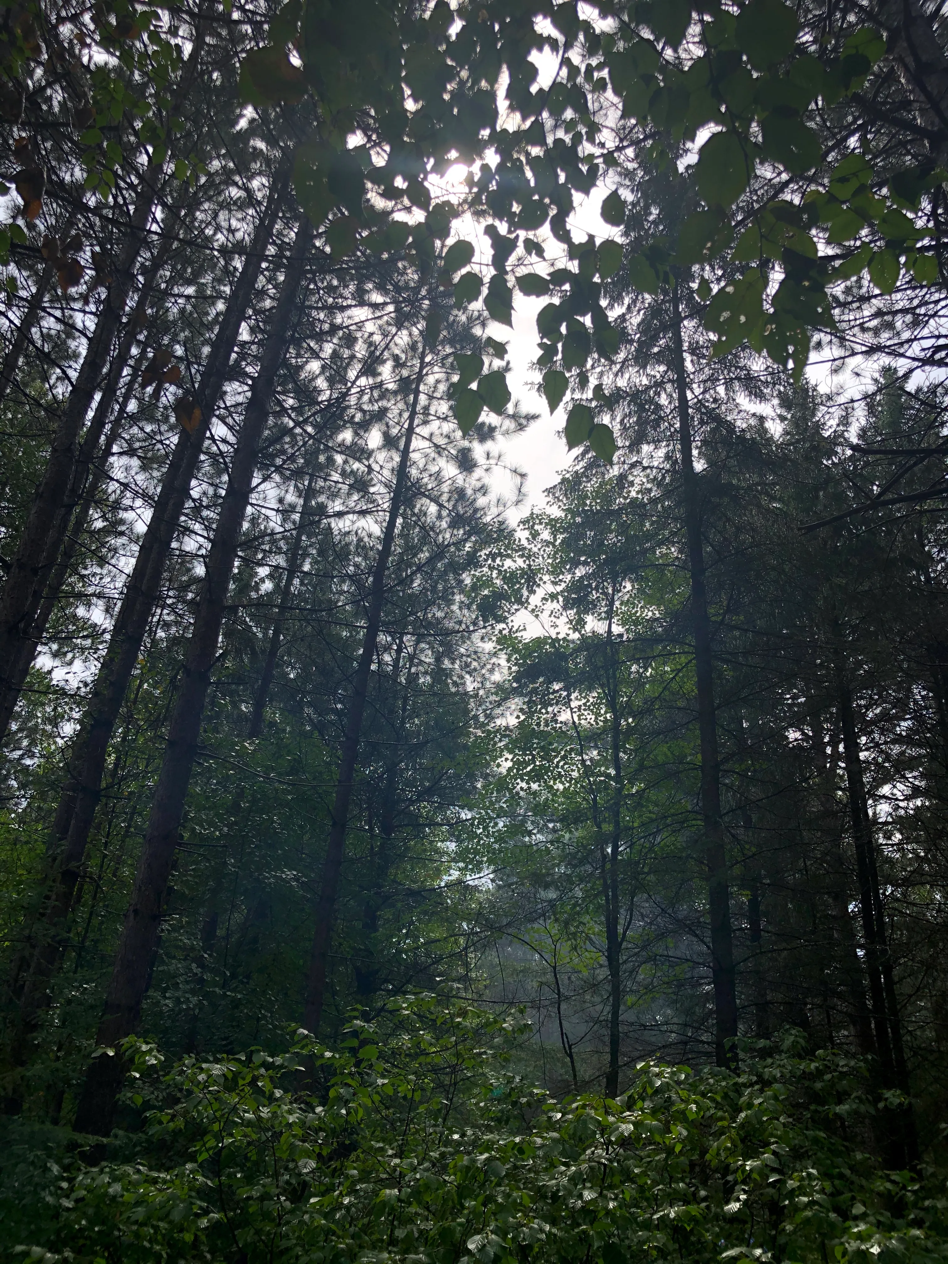 Camp at Crystal Lake Campground