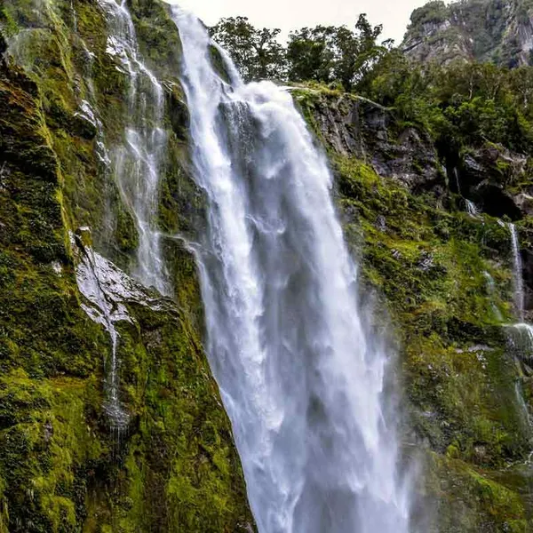 Milford Sound: The 8th Wonder of the World Revealed