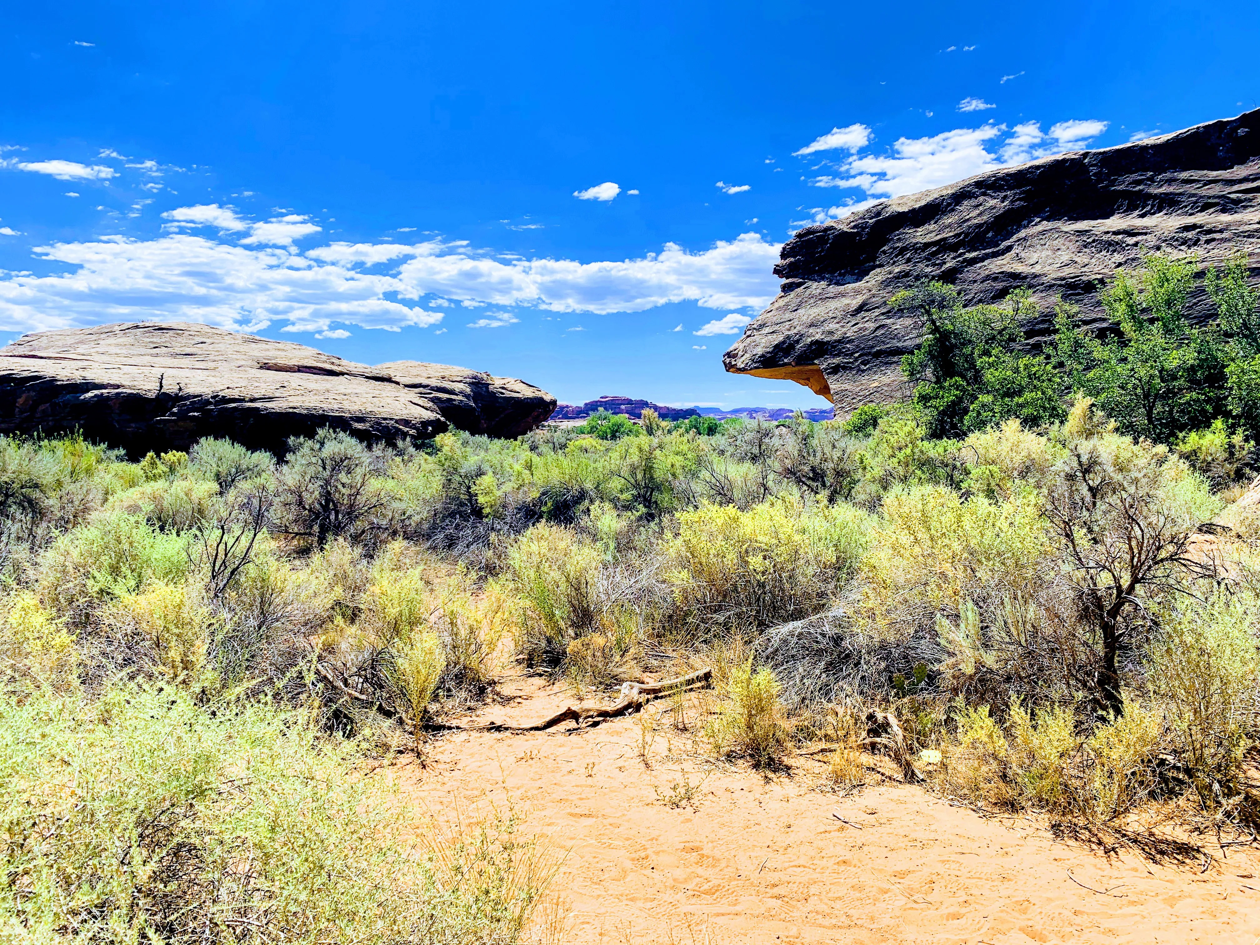 Hike the Cave Spring Loop in the Needles District