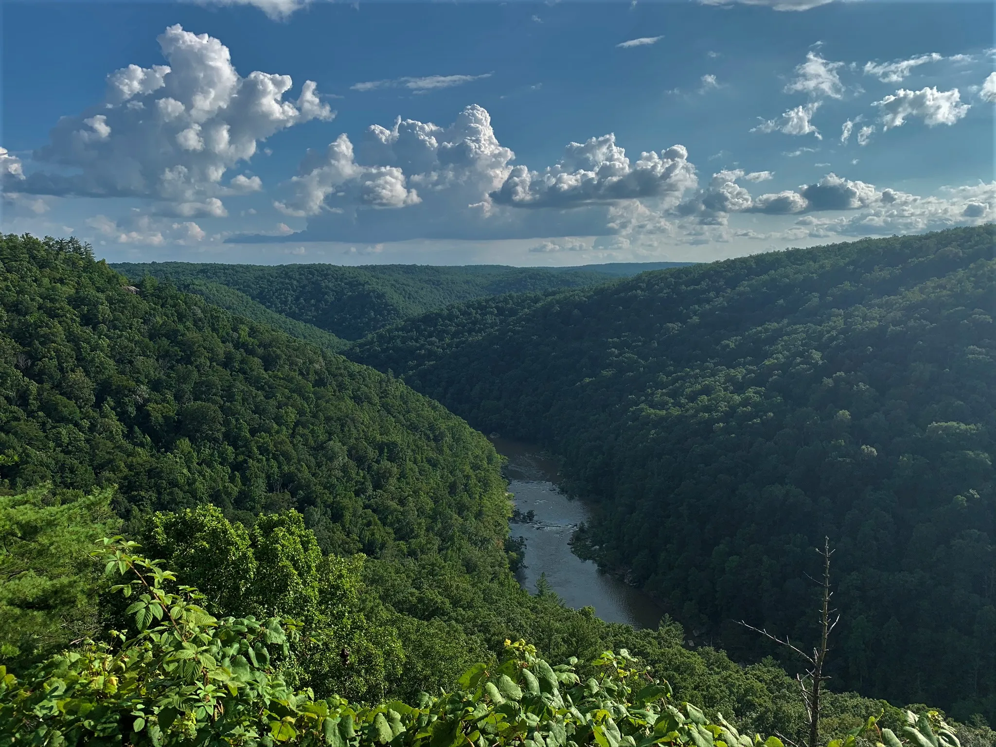 Short hike to East Rim Overlook