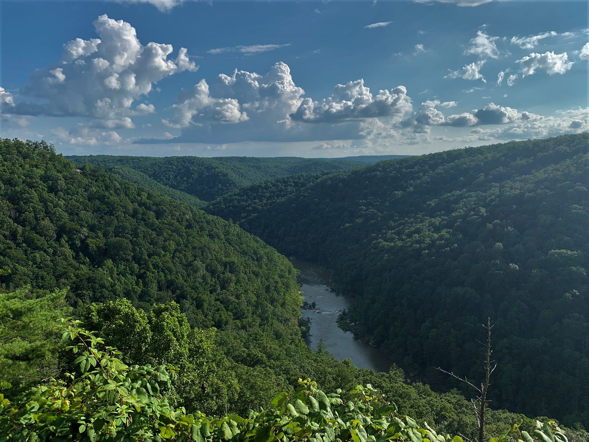 Short hike to East Rim Overlook, Oneida, Tennessee | The Outbound