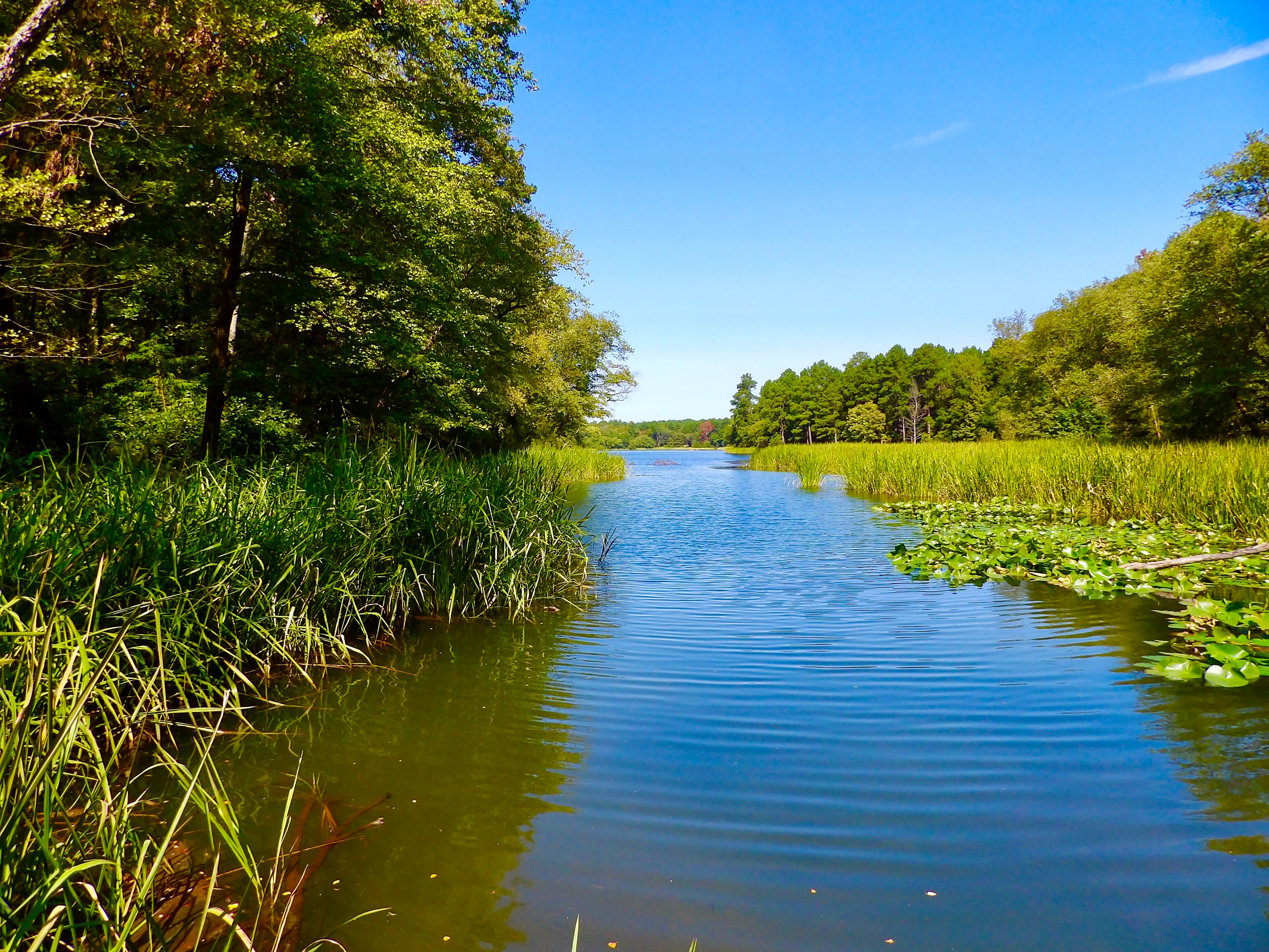 Tyler State Park Lake Loop Trail