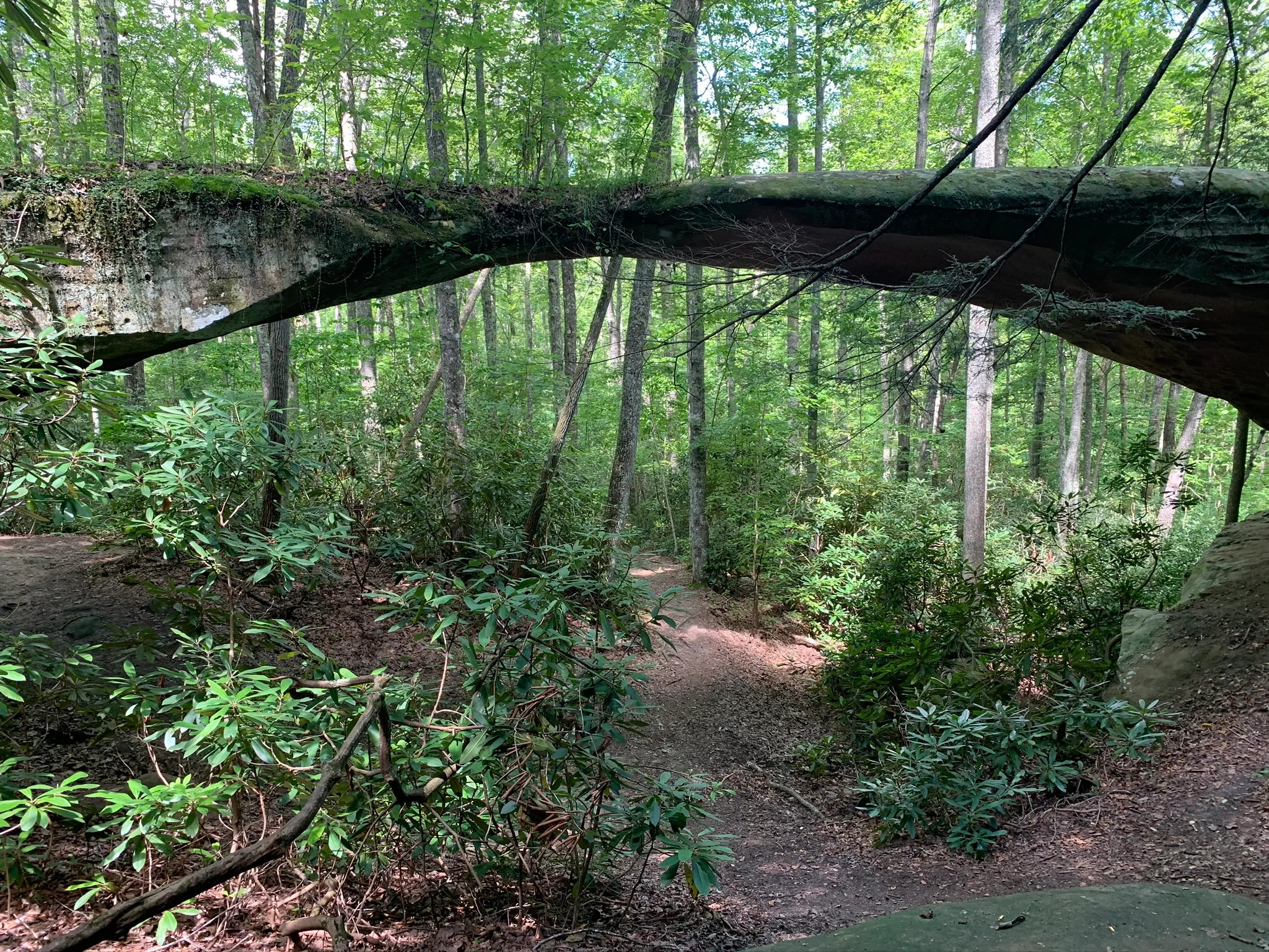 Natural Bridge Loop 