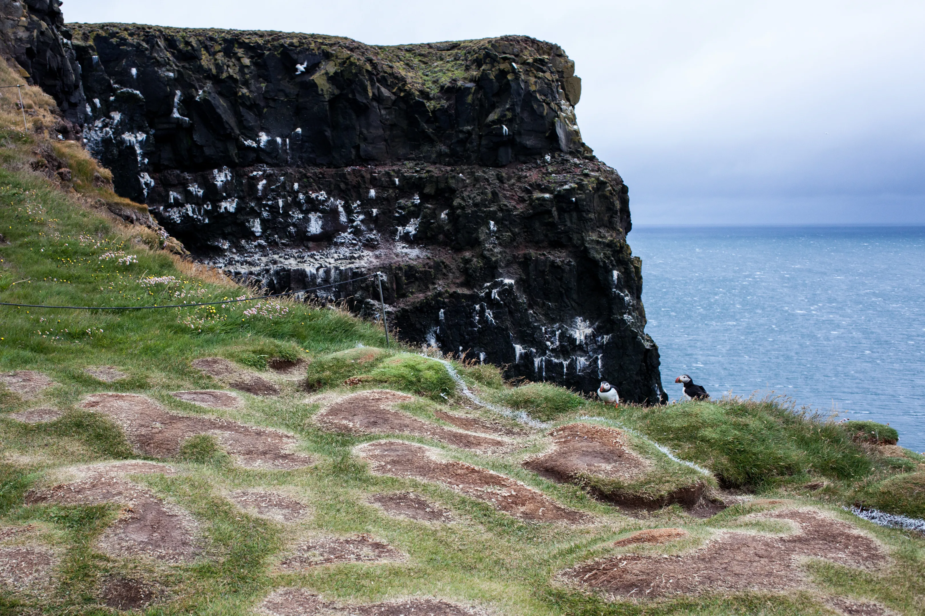 Hike to Látrabjarg Cliffs