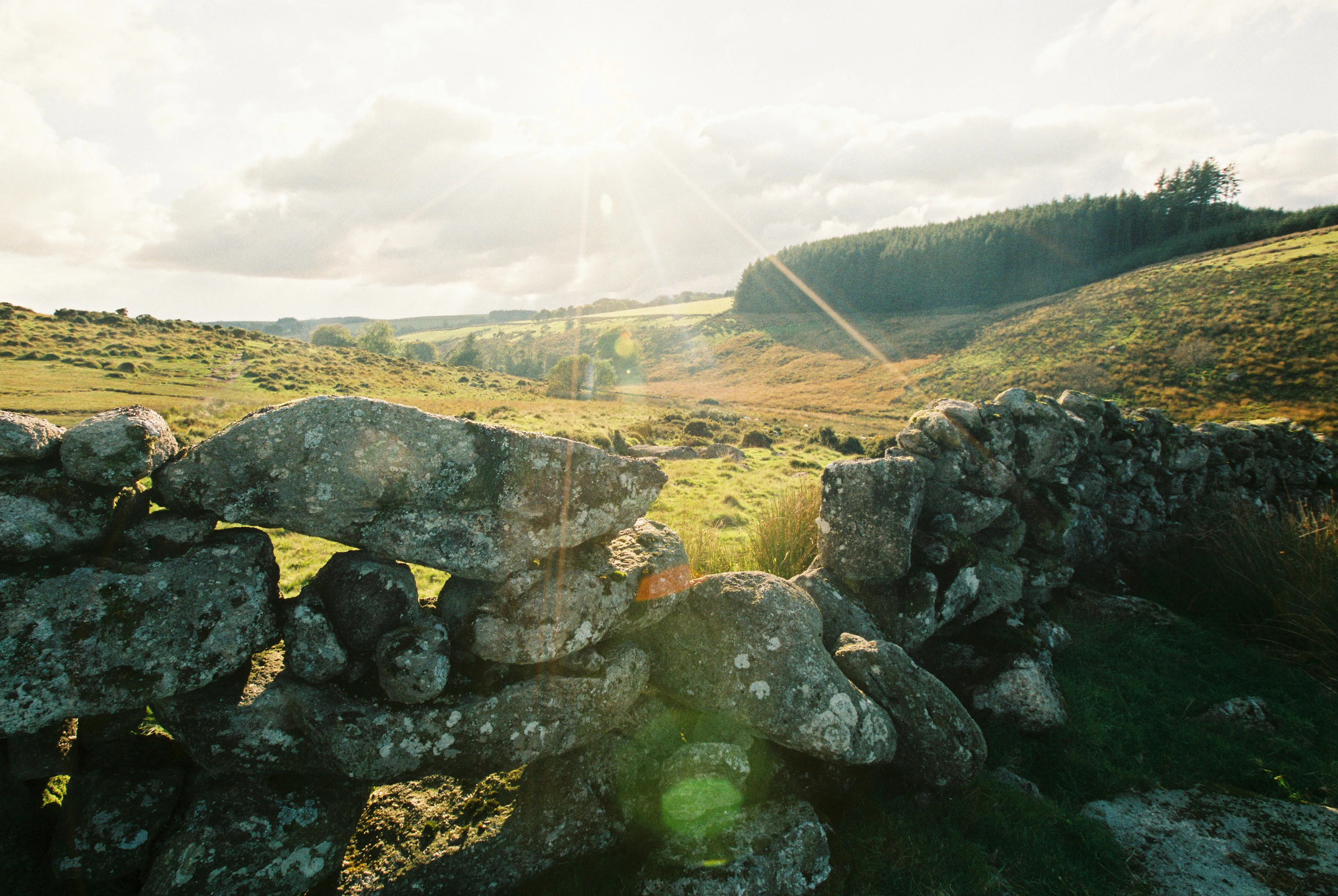 Explore Wistman's Wood