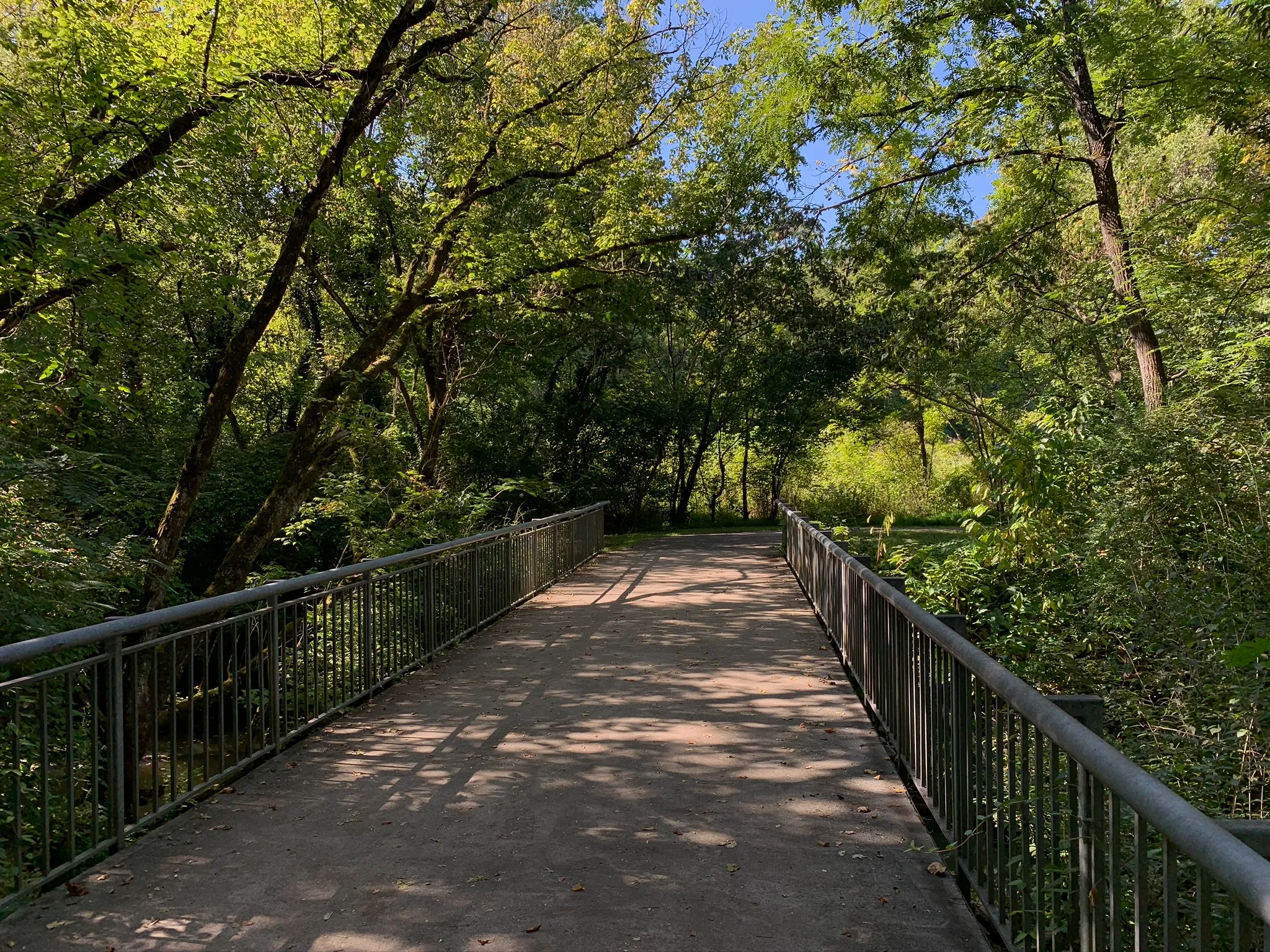 Forks of the River Wildlife Management Area