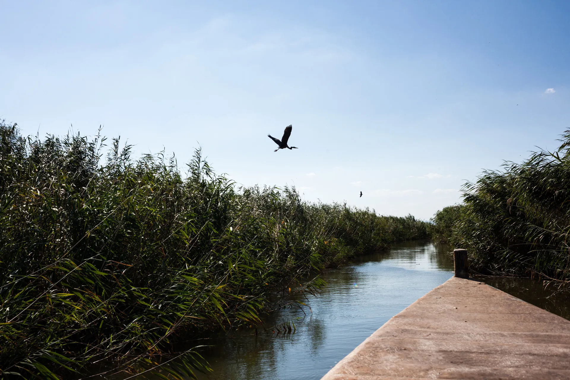 Explore the Wetlands of the Delta of Evros River
