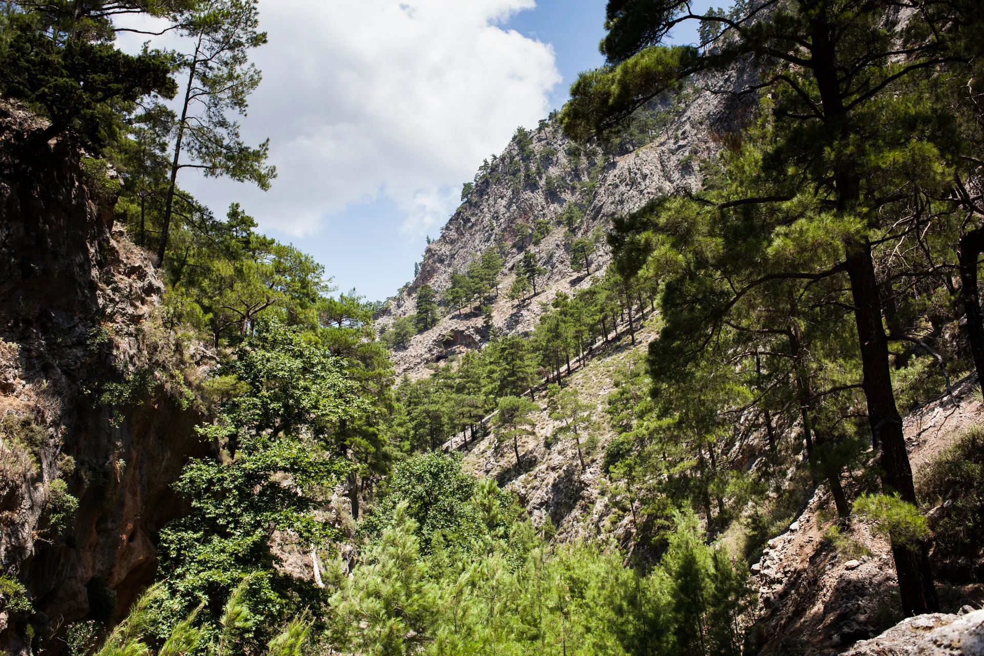 Hike Aghia Irini Gorge