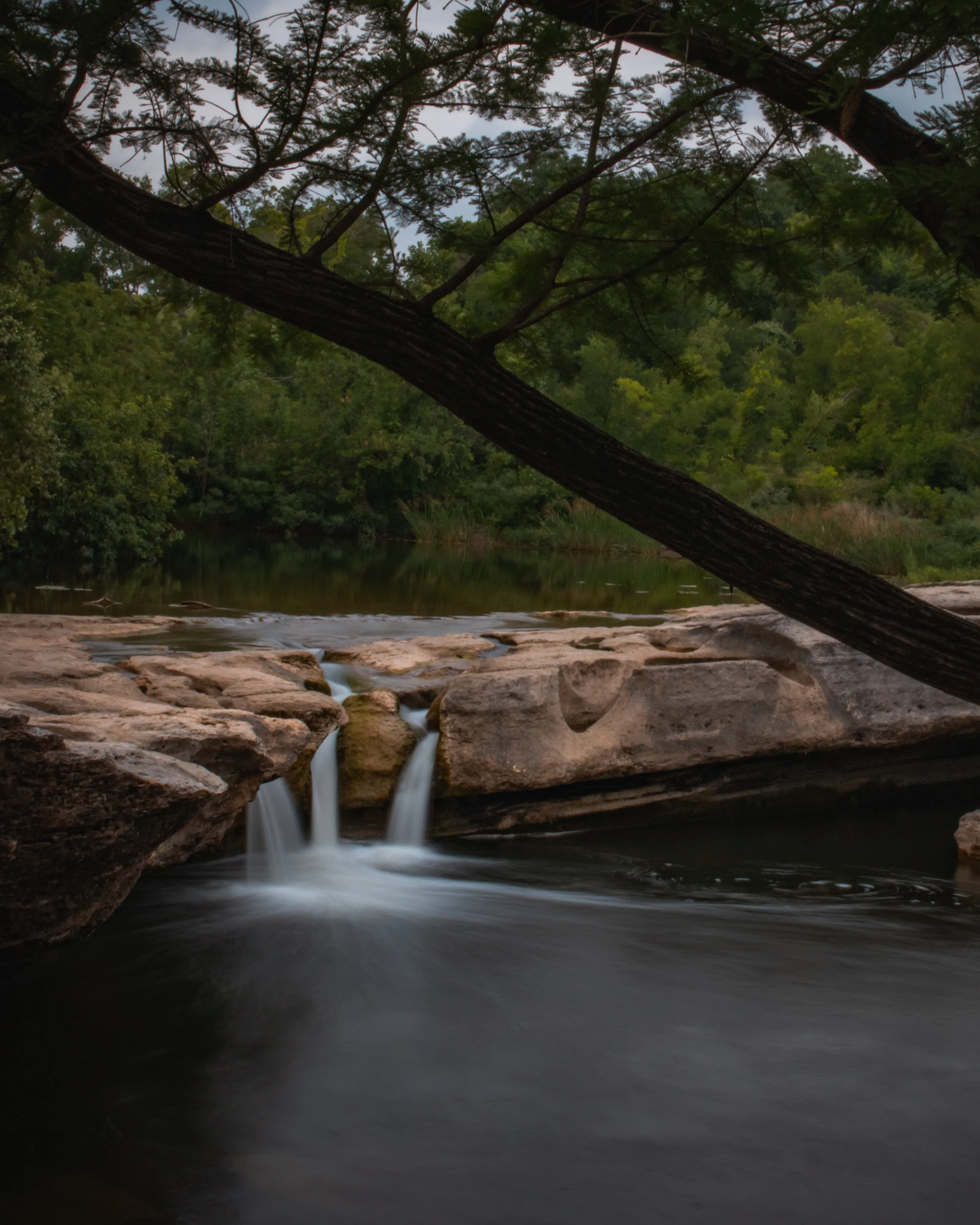 Hike Onion Creek And Homestead Trail Loop
