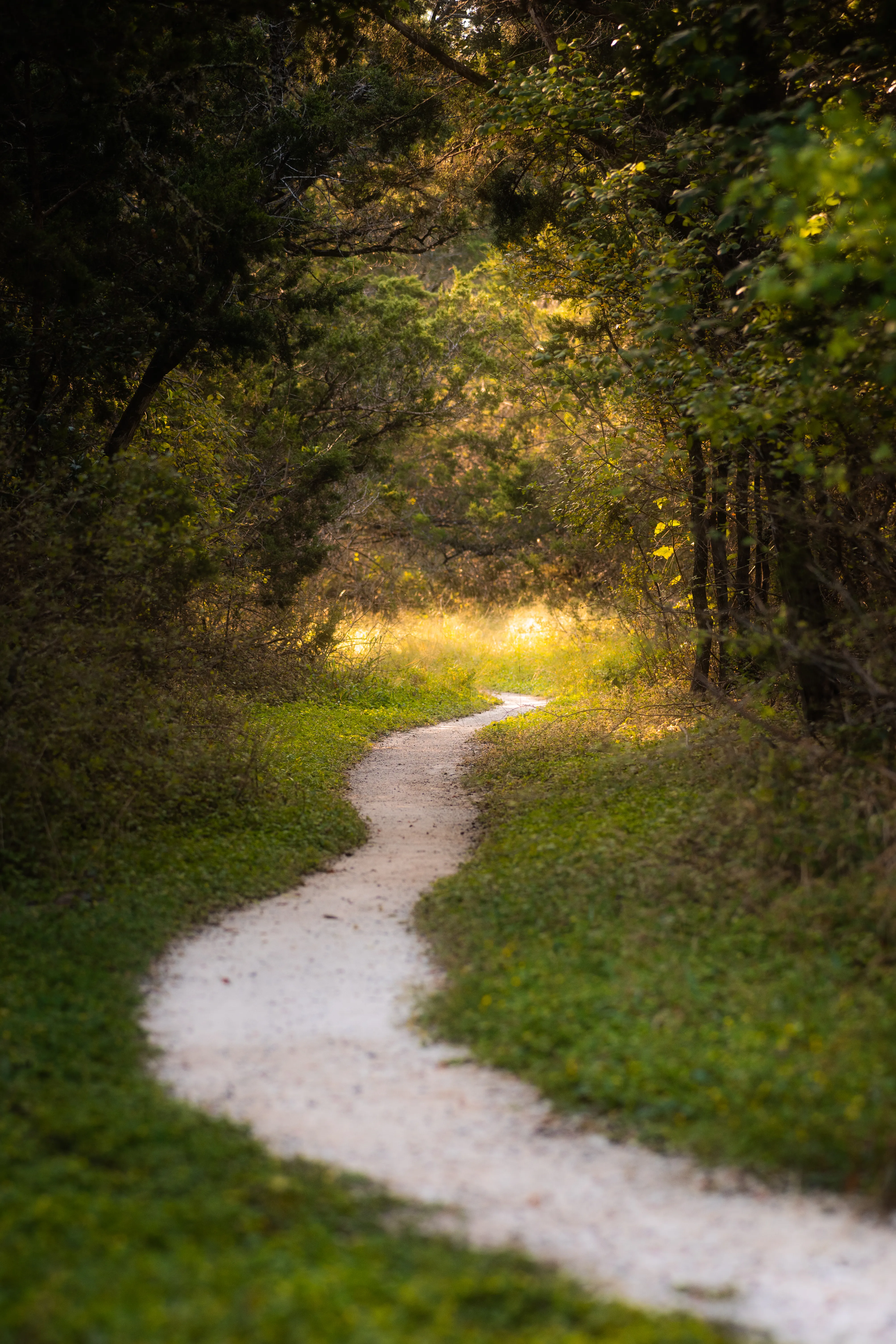 Mary Moore Searight Park Trail Loop