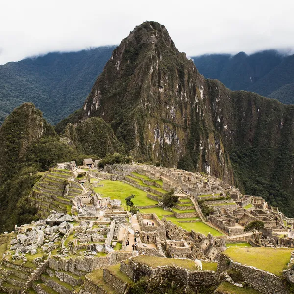 Machu Picchu reopens...for a single tourist