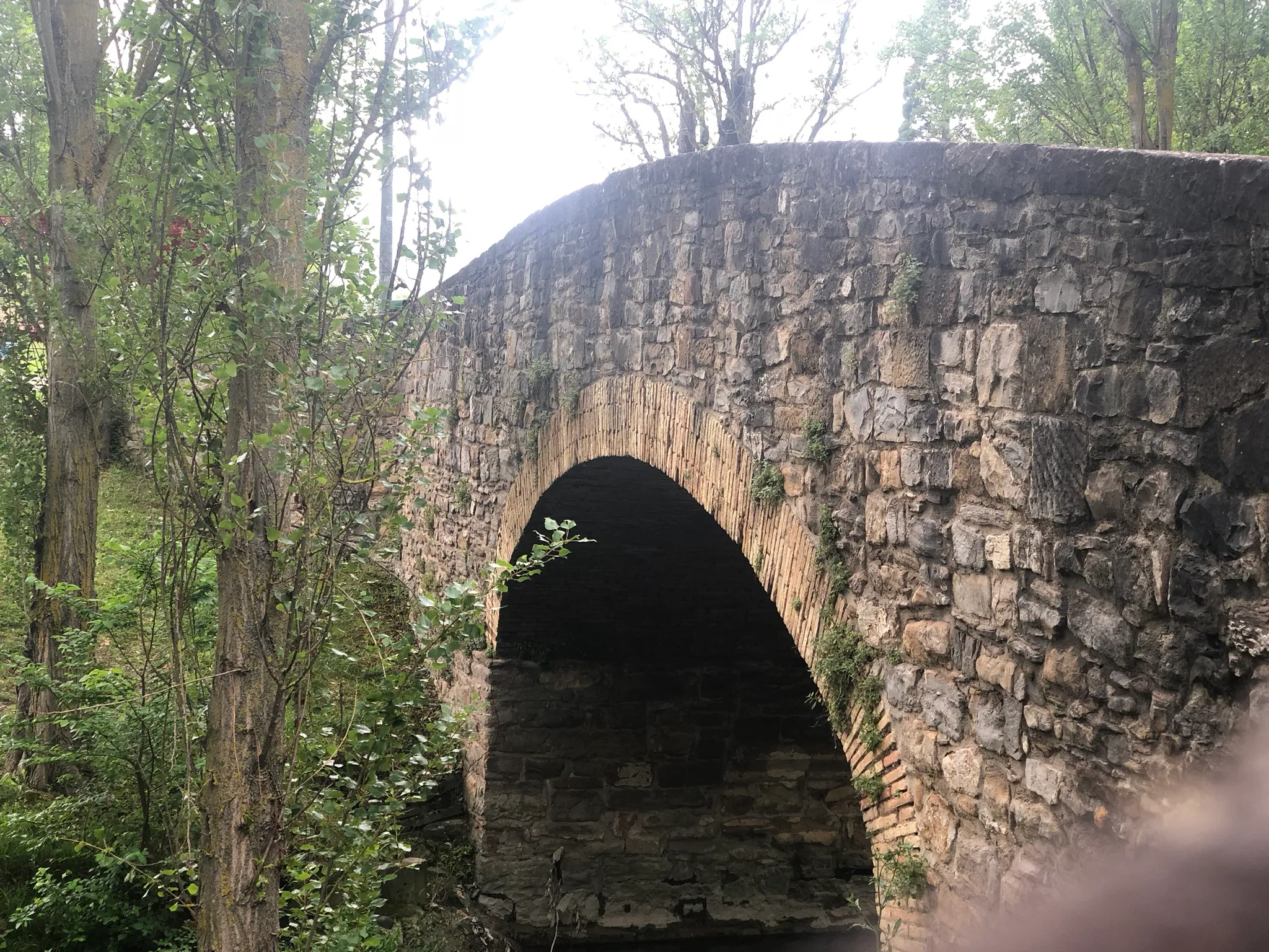 Explore the Riverside Walk in Pamplona